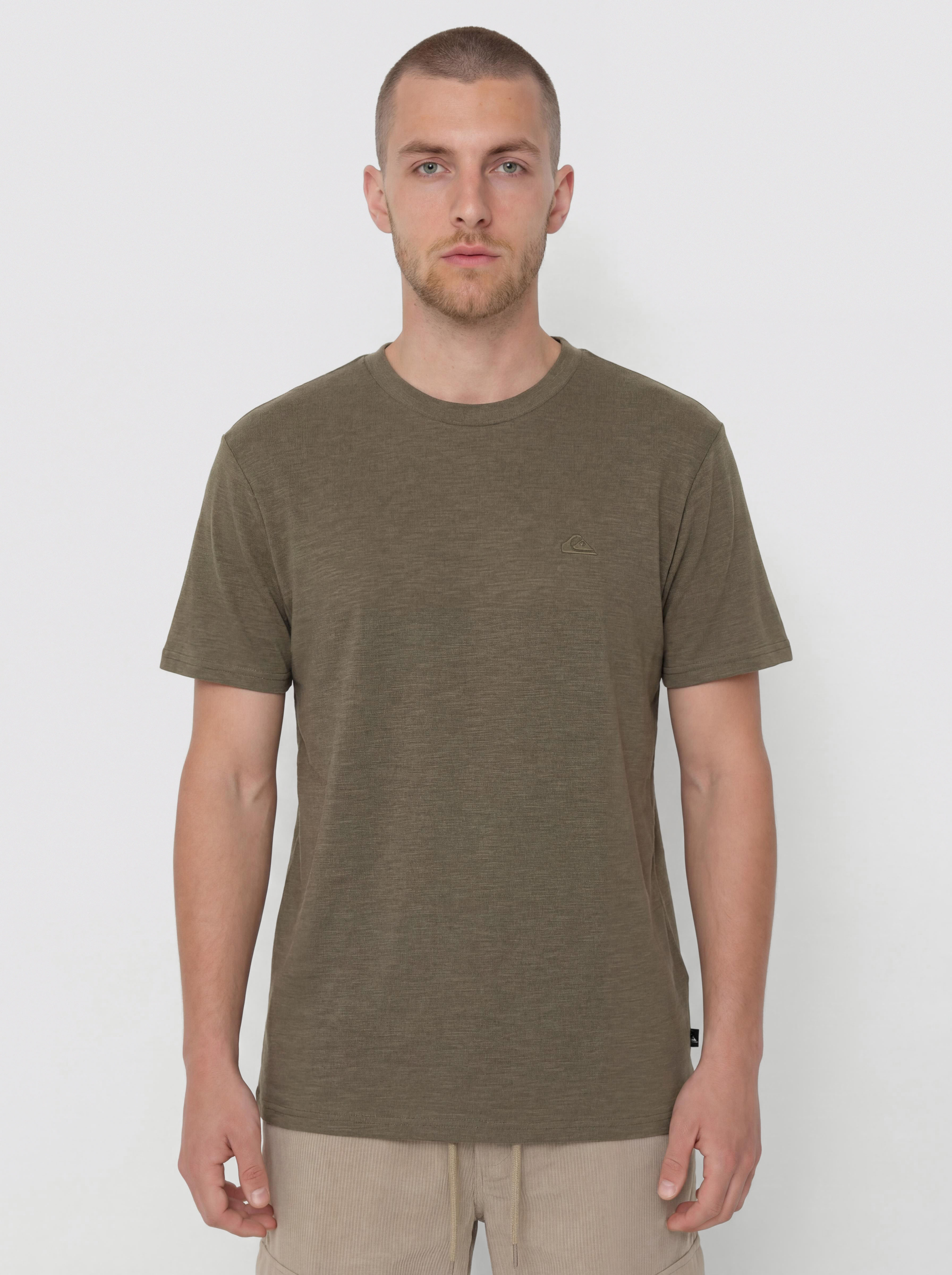 Quiksilver Slub Roundneck T-Shirt (grape leaf)
