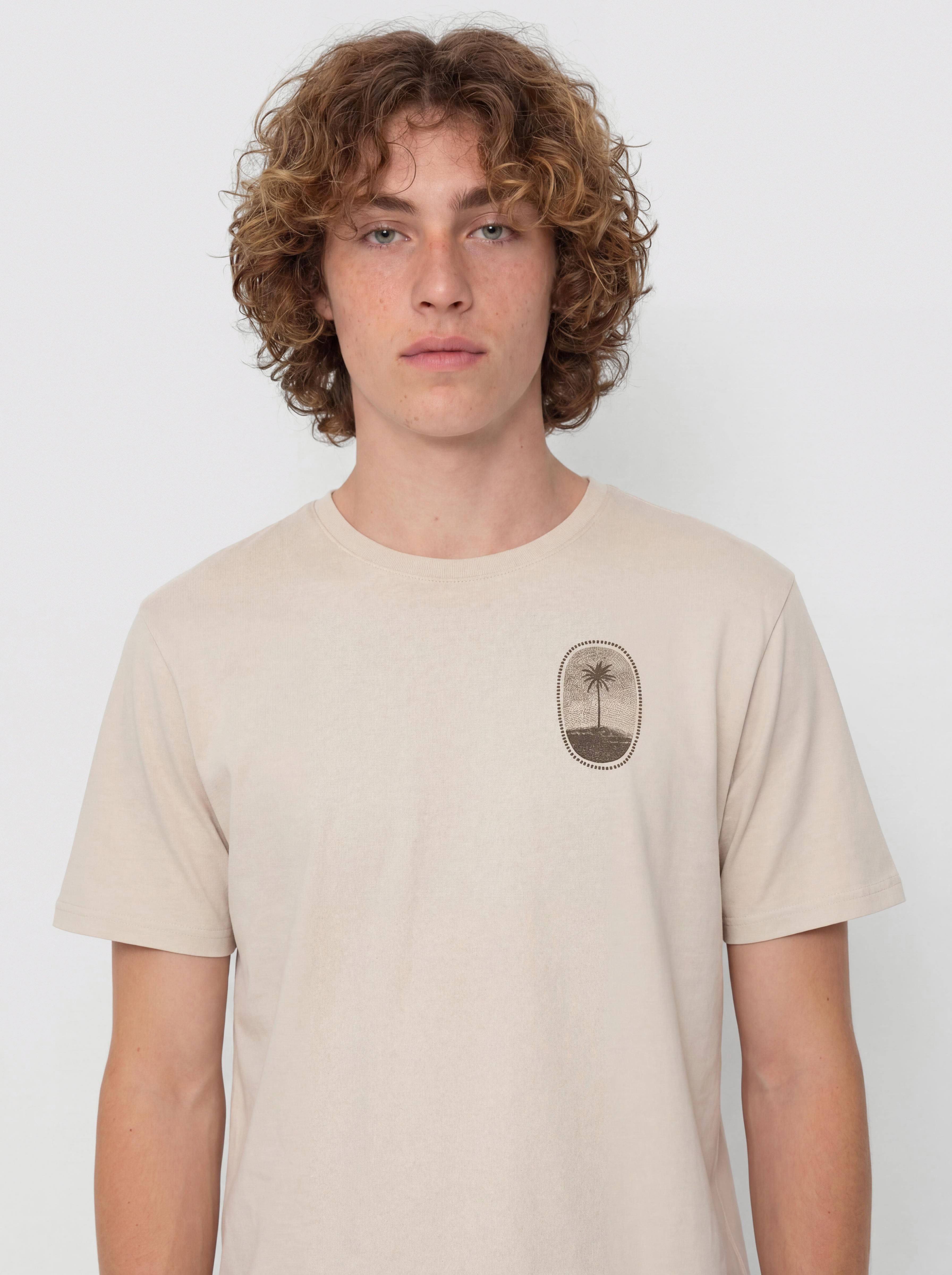 Hurley Seclusion T-Shirt (bone)