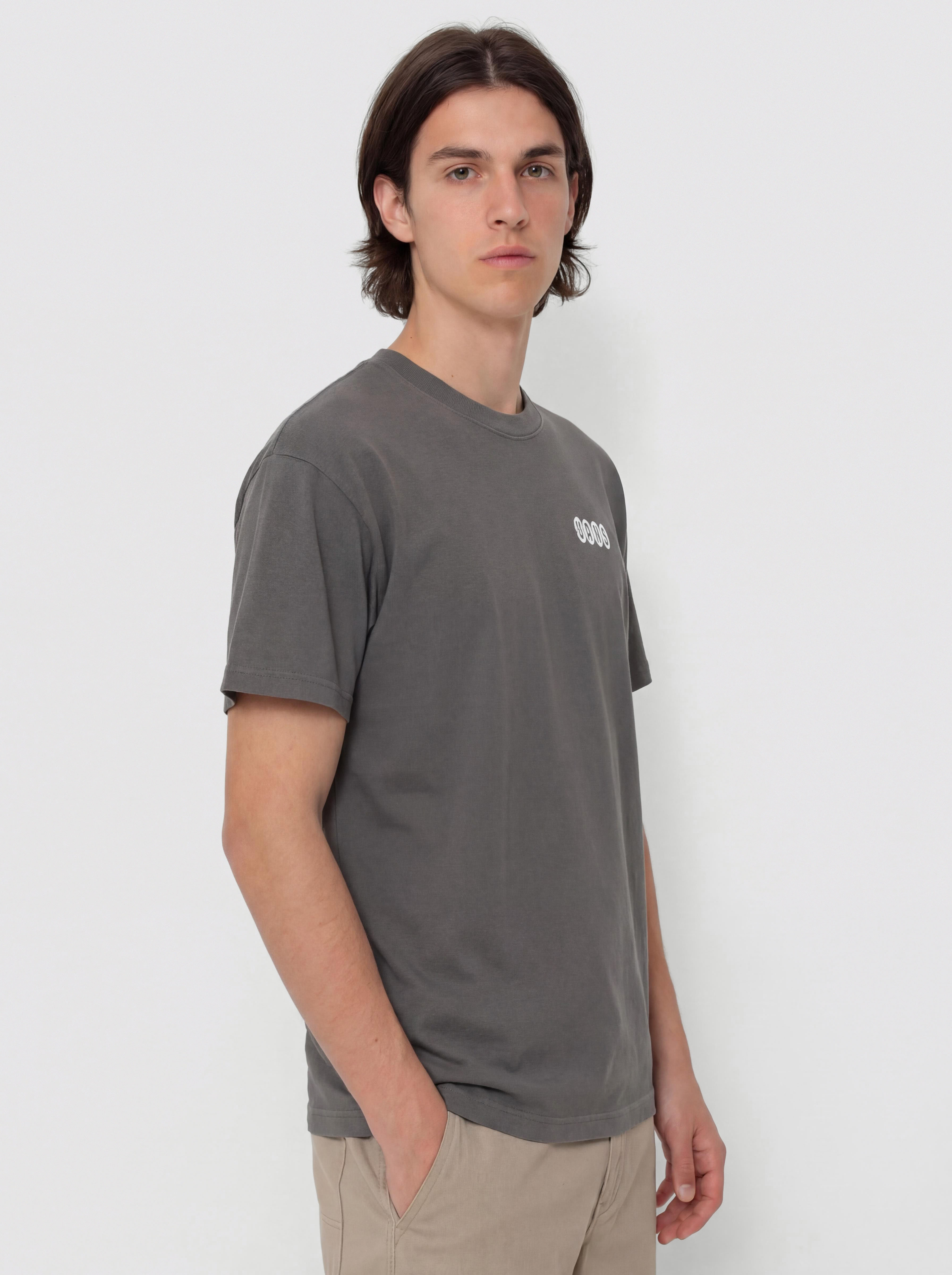 Vans Earthbound Loose Fit T-Shirt (mountain essentials asphalt)