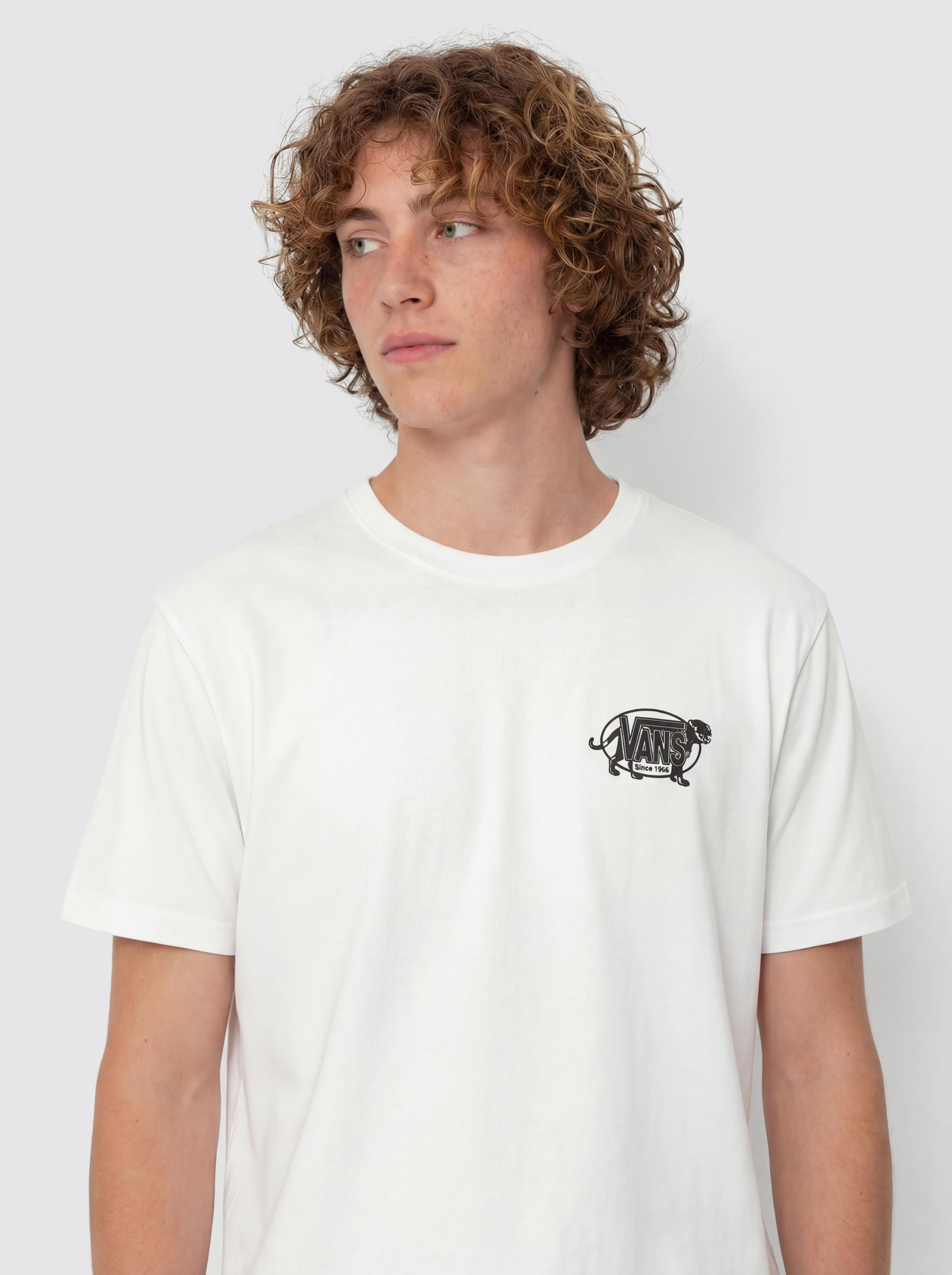 Vans Awaken Tiger T-Shirt - black (black)