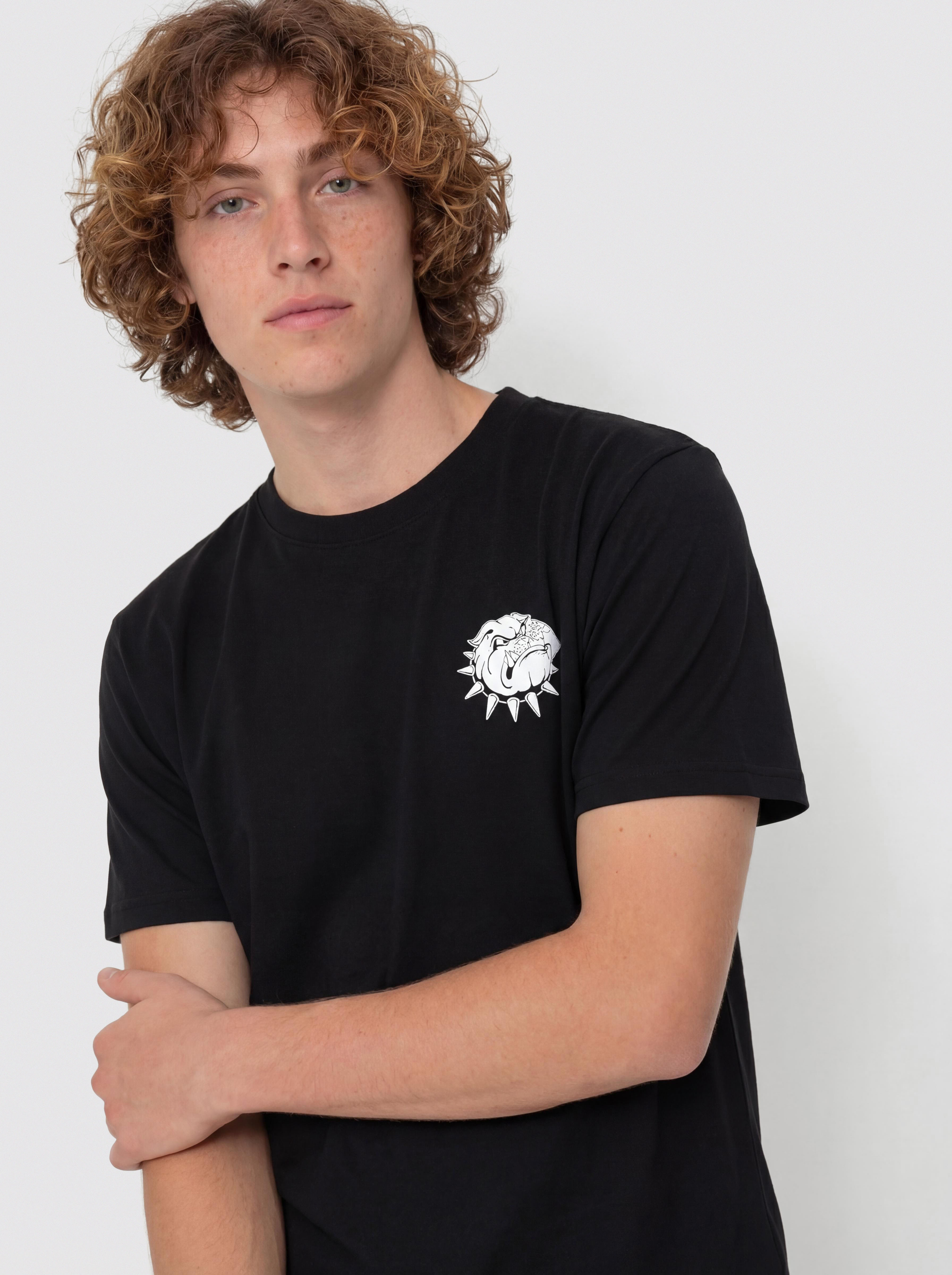 Vans Bully T-Shirt (black)