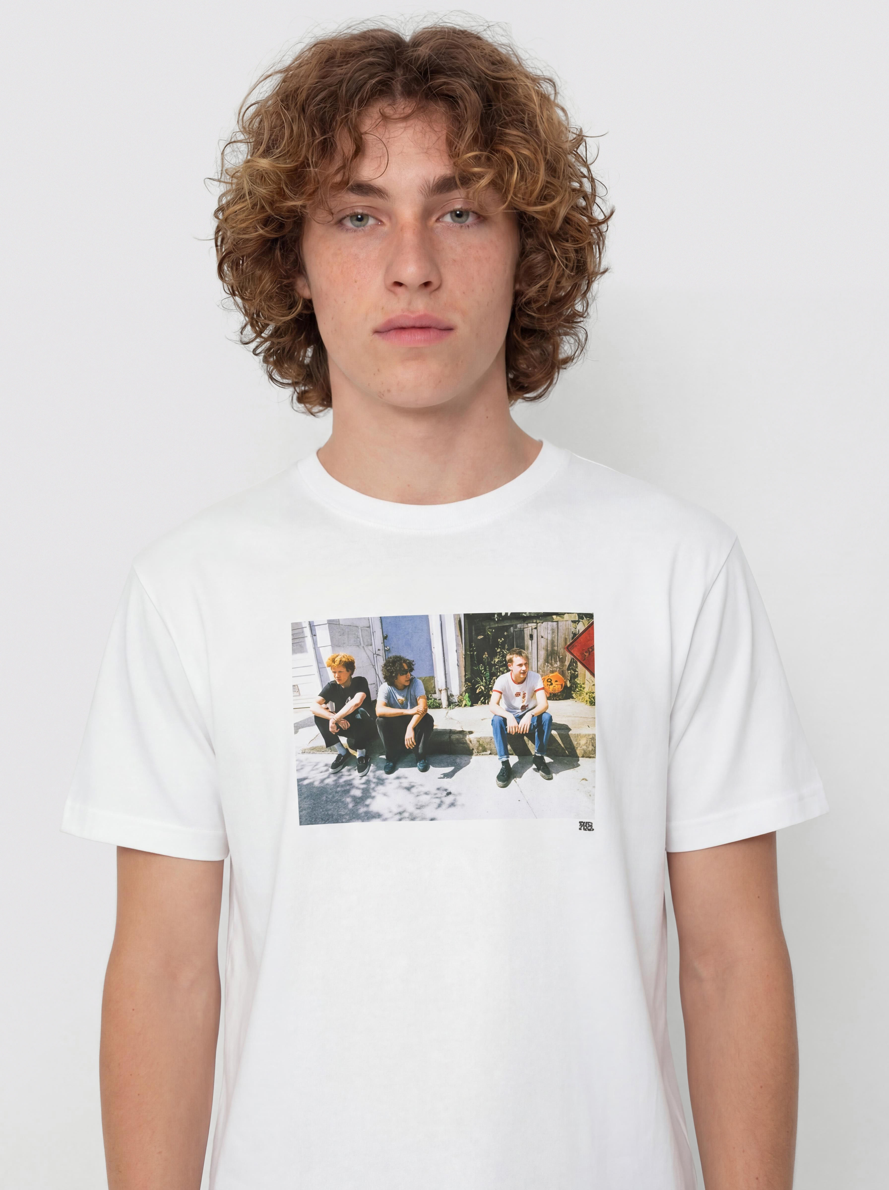 Vans Skate Atiba Haze Curb Crew T-Shirt (white)