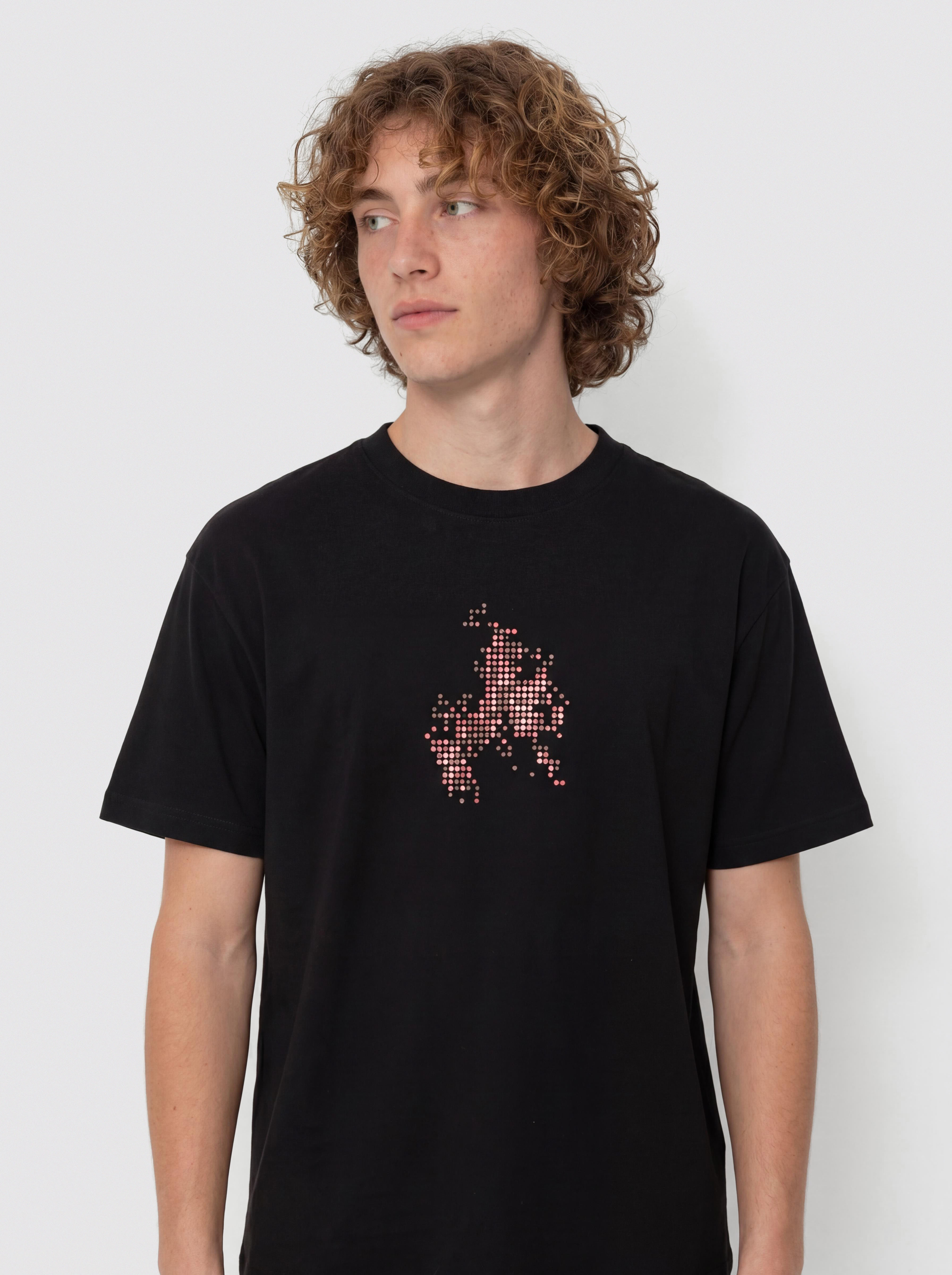 Vans Skate Flame T-Shirt (black)
