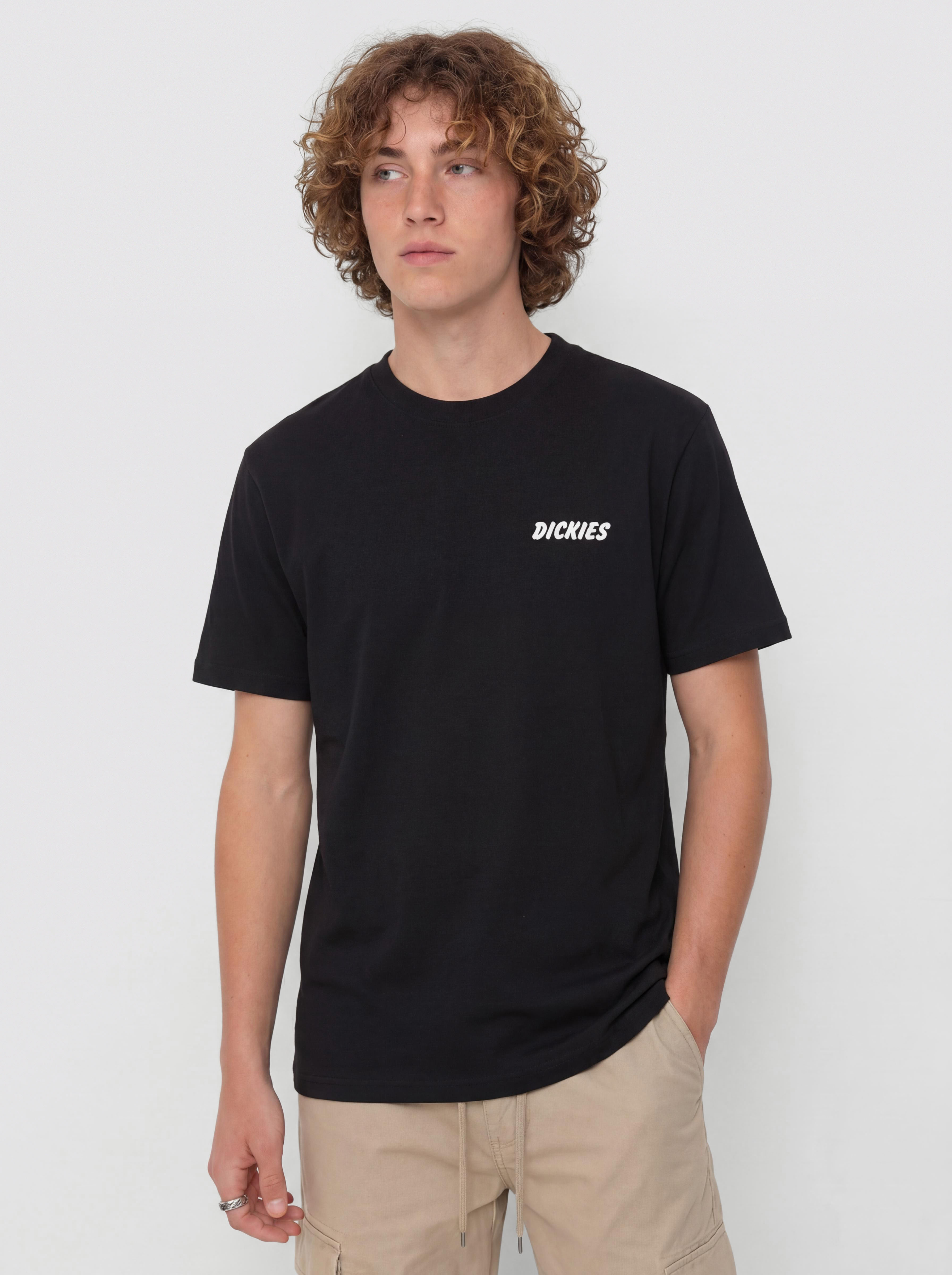 Dickies Dry Ridge T-Shirt (black)