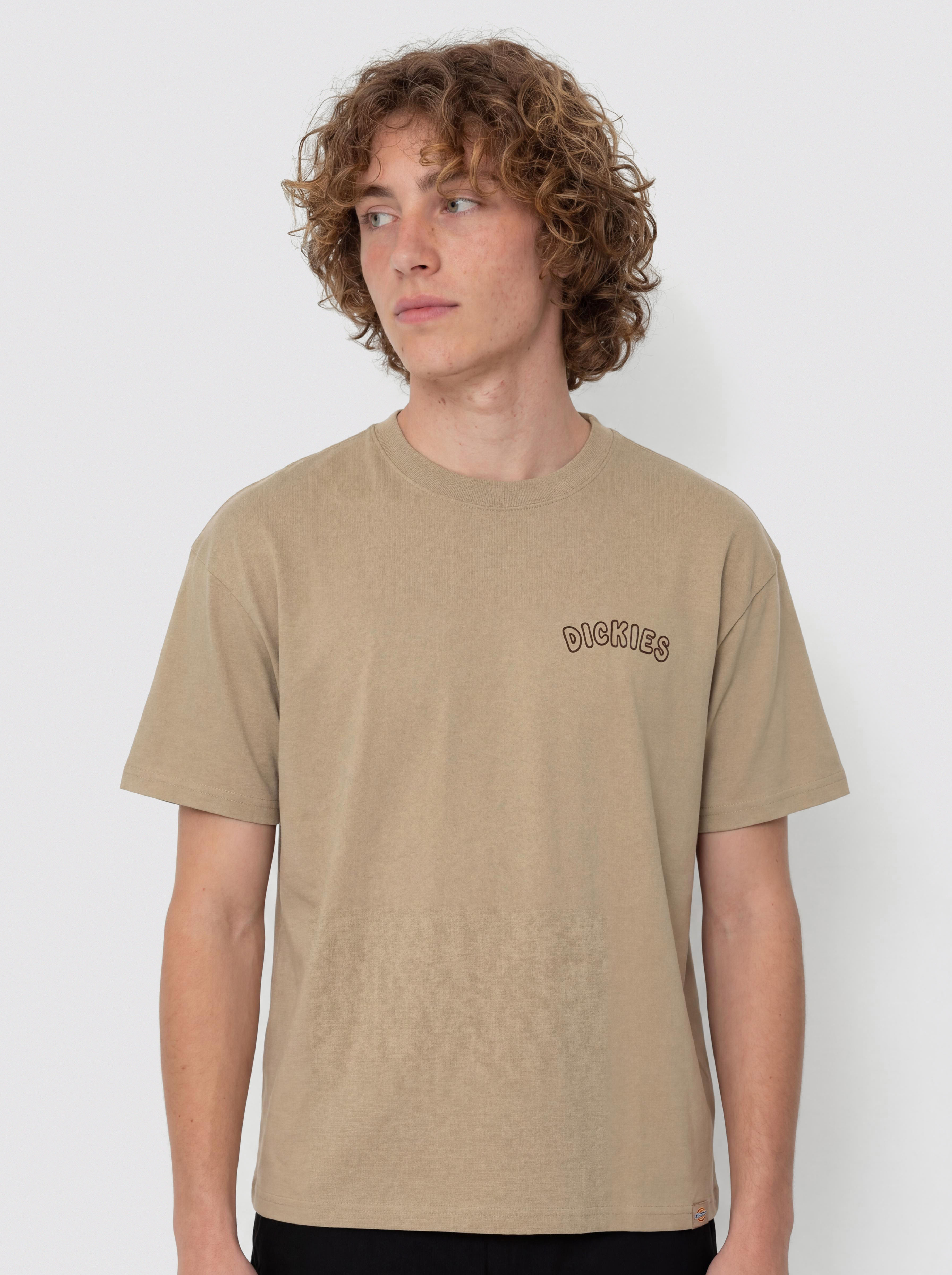 Dickies Decartuville T-Shirt - beige (desert sand)