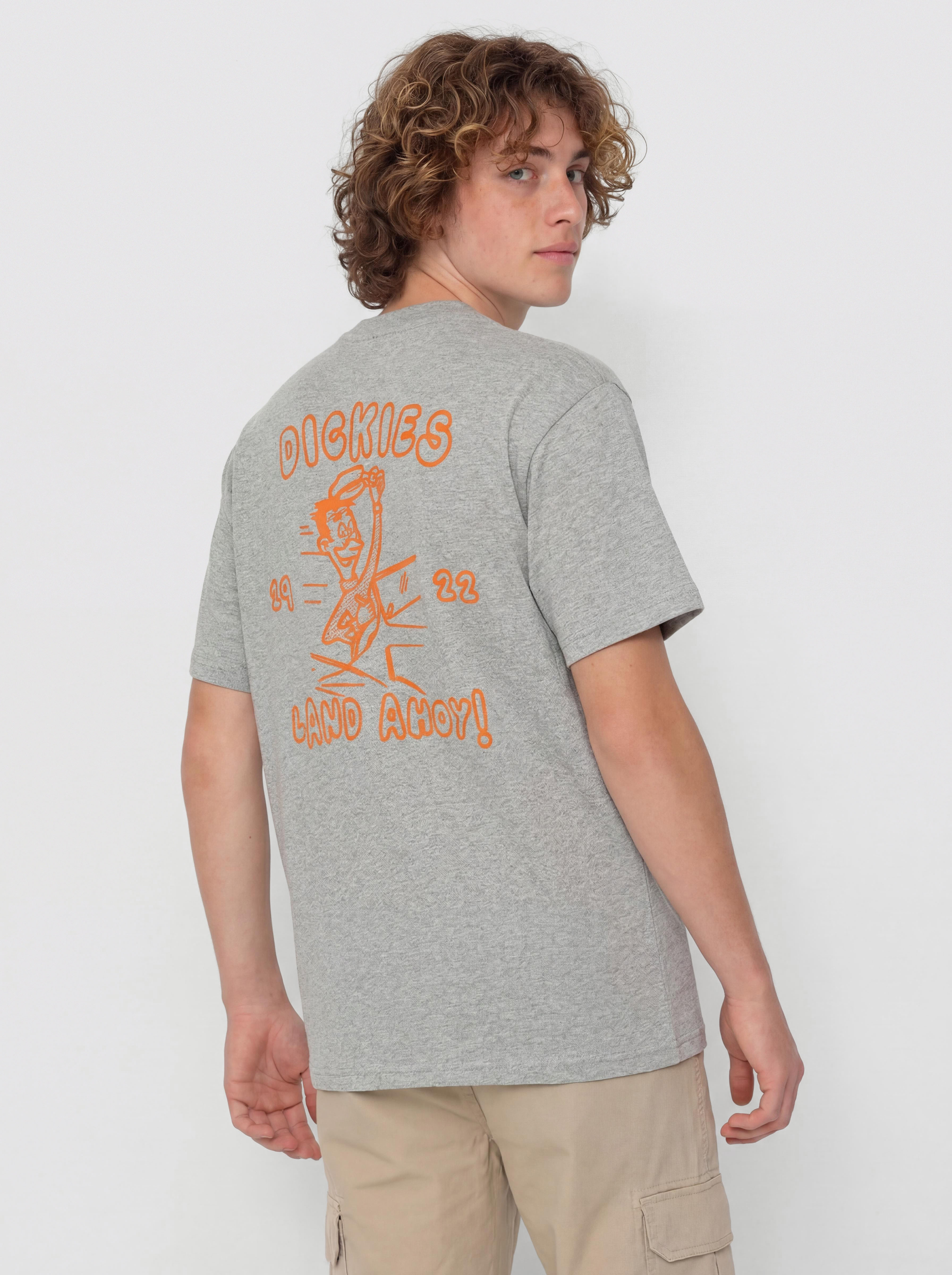 Dickies Decartuville T-Shirt (grey melange)