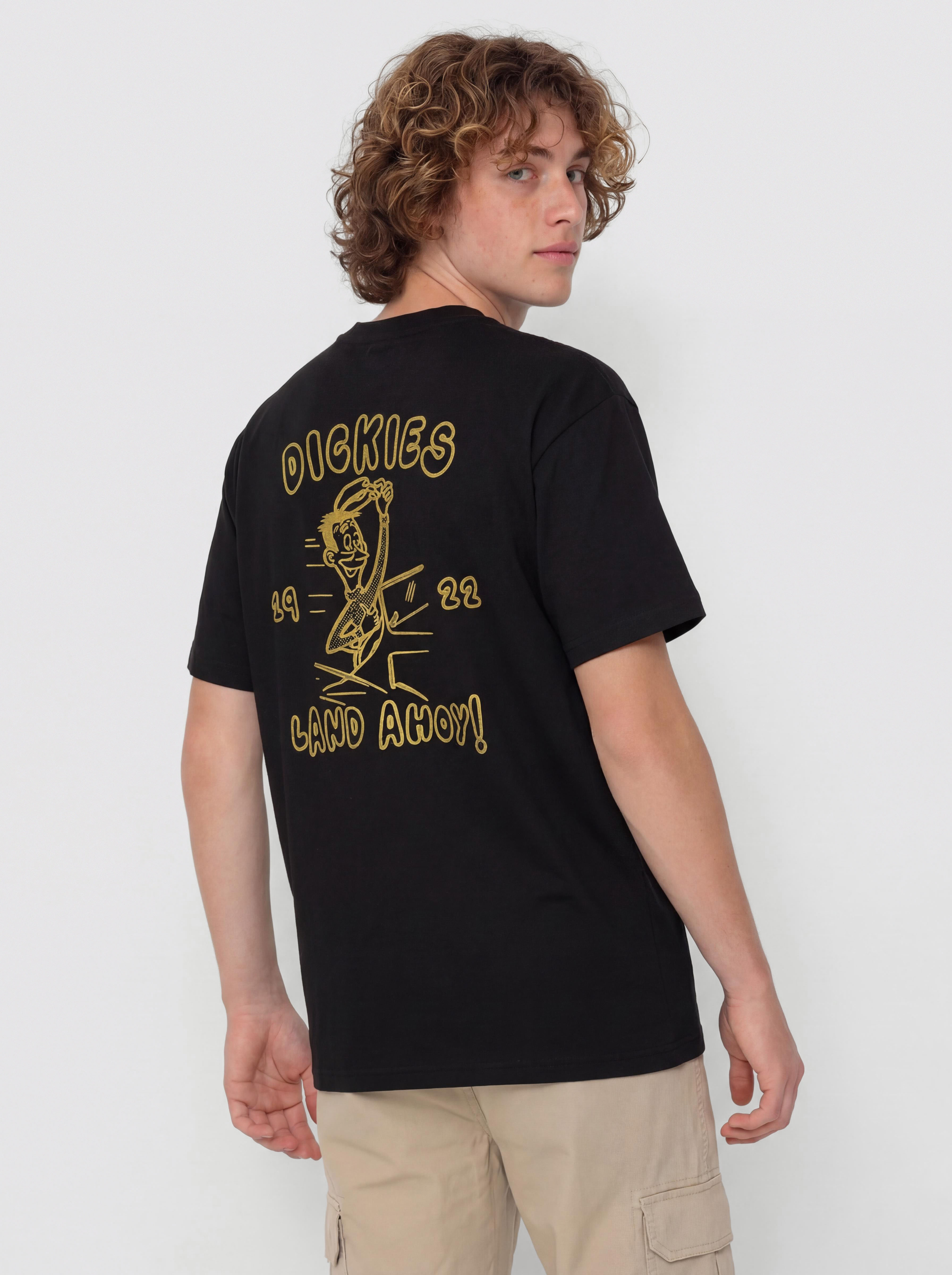 Dickies Decartuville T-Shirt (black)