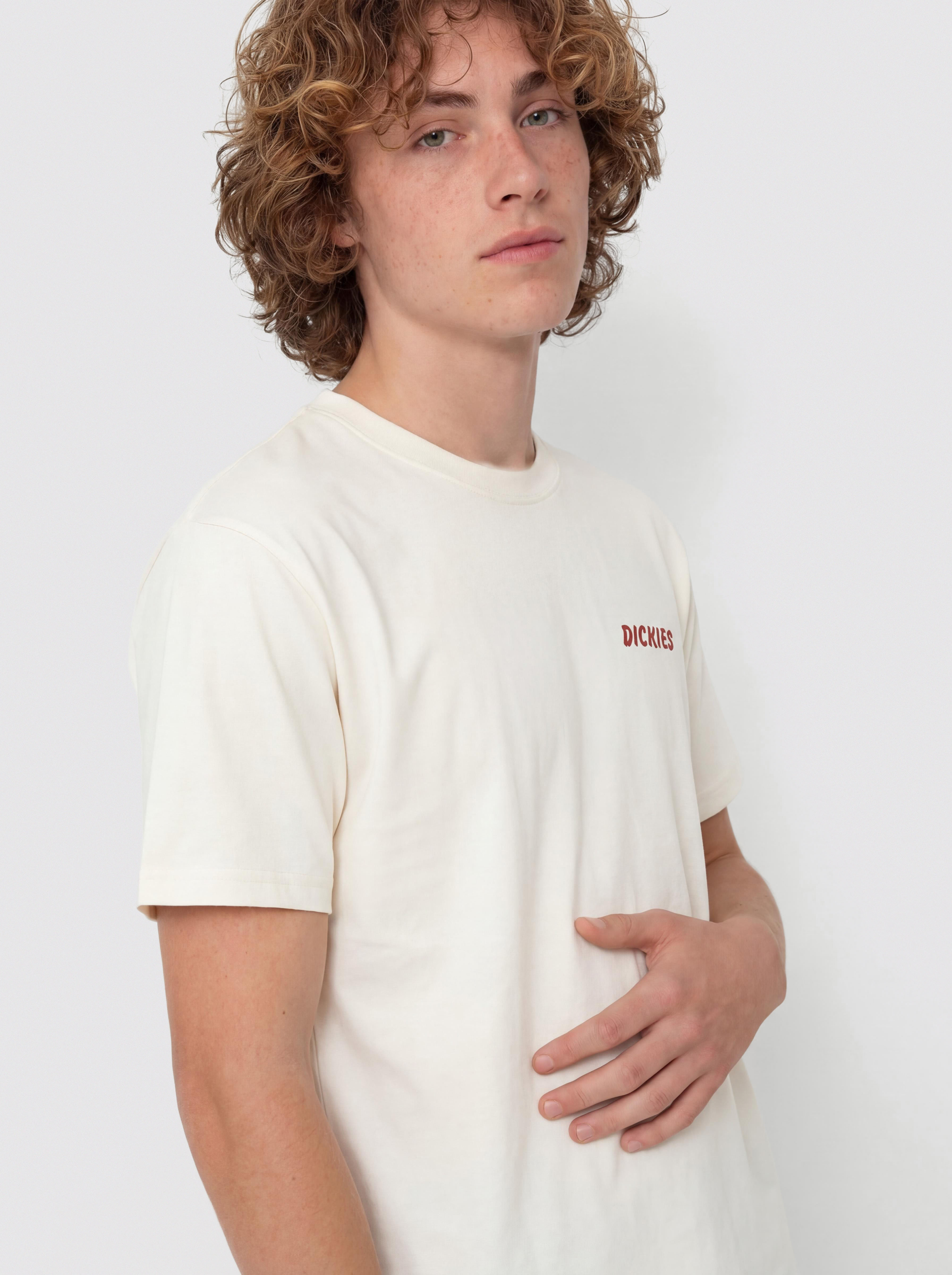 Dickies Dry Ridge T-Shirt - white (egret)