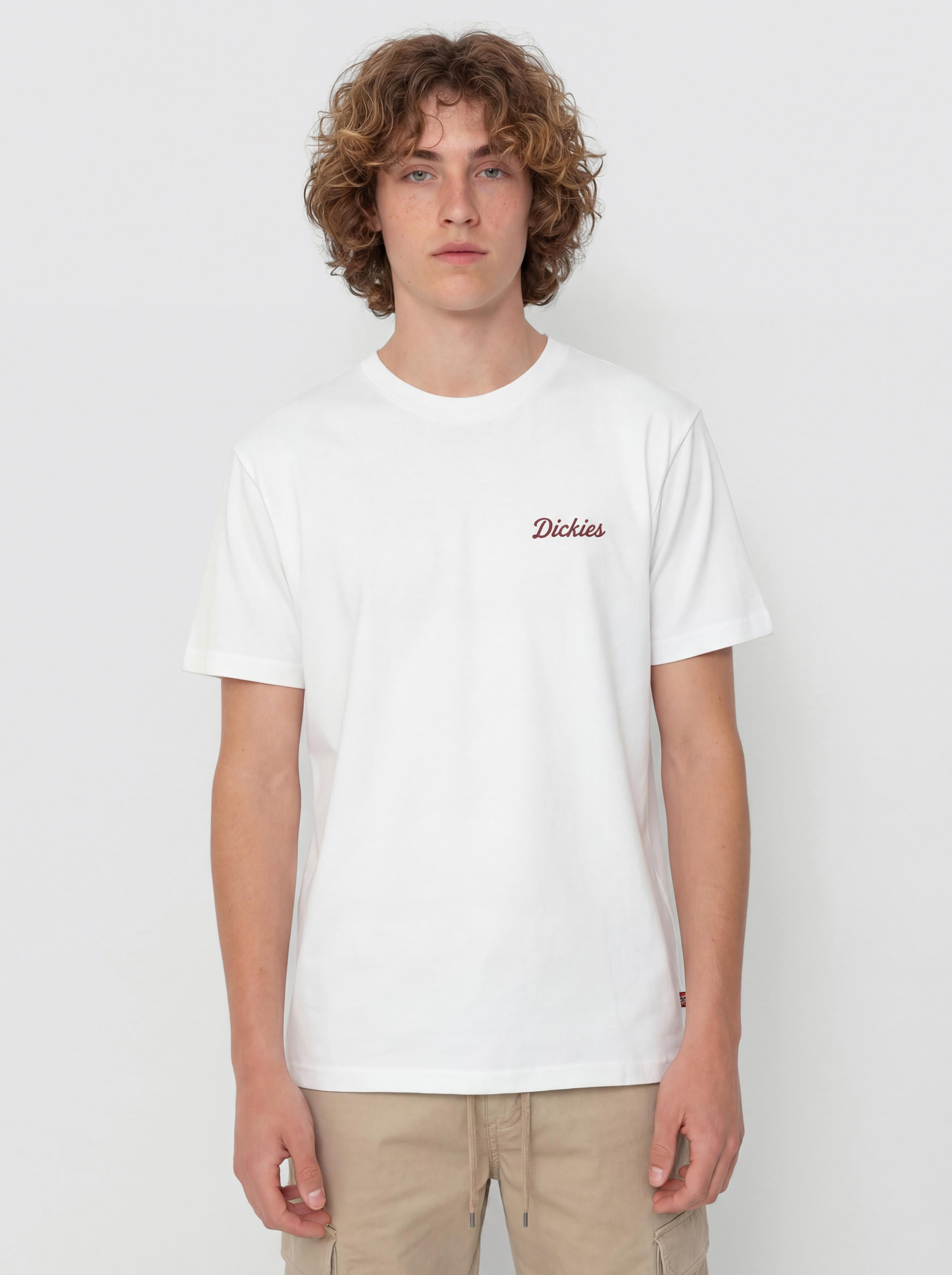 Dickies Wellsville T-Shirt - white (white)