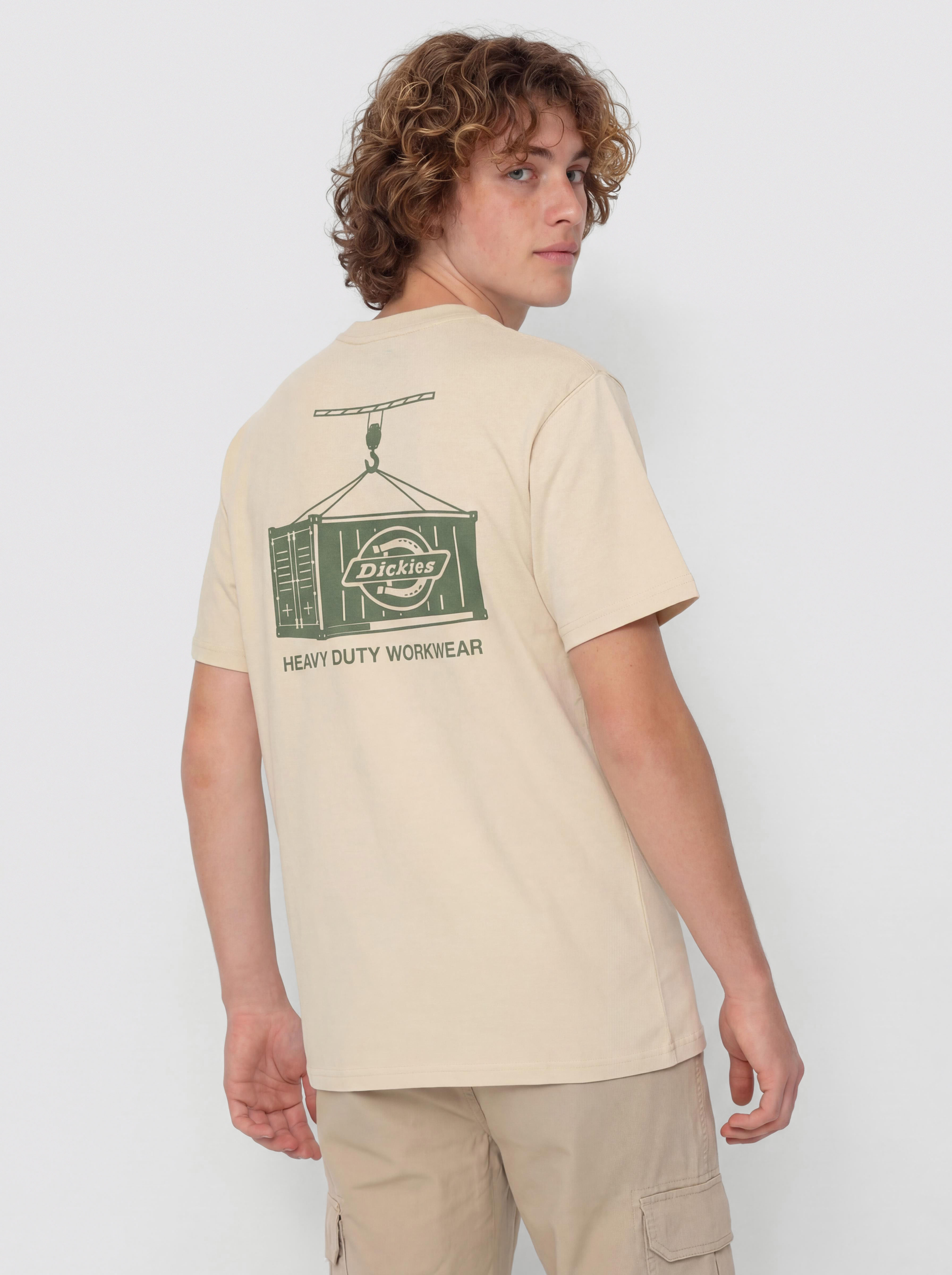 Dickies Apison T-Shirt - beige (wood ash)