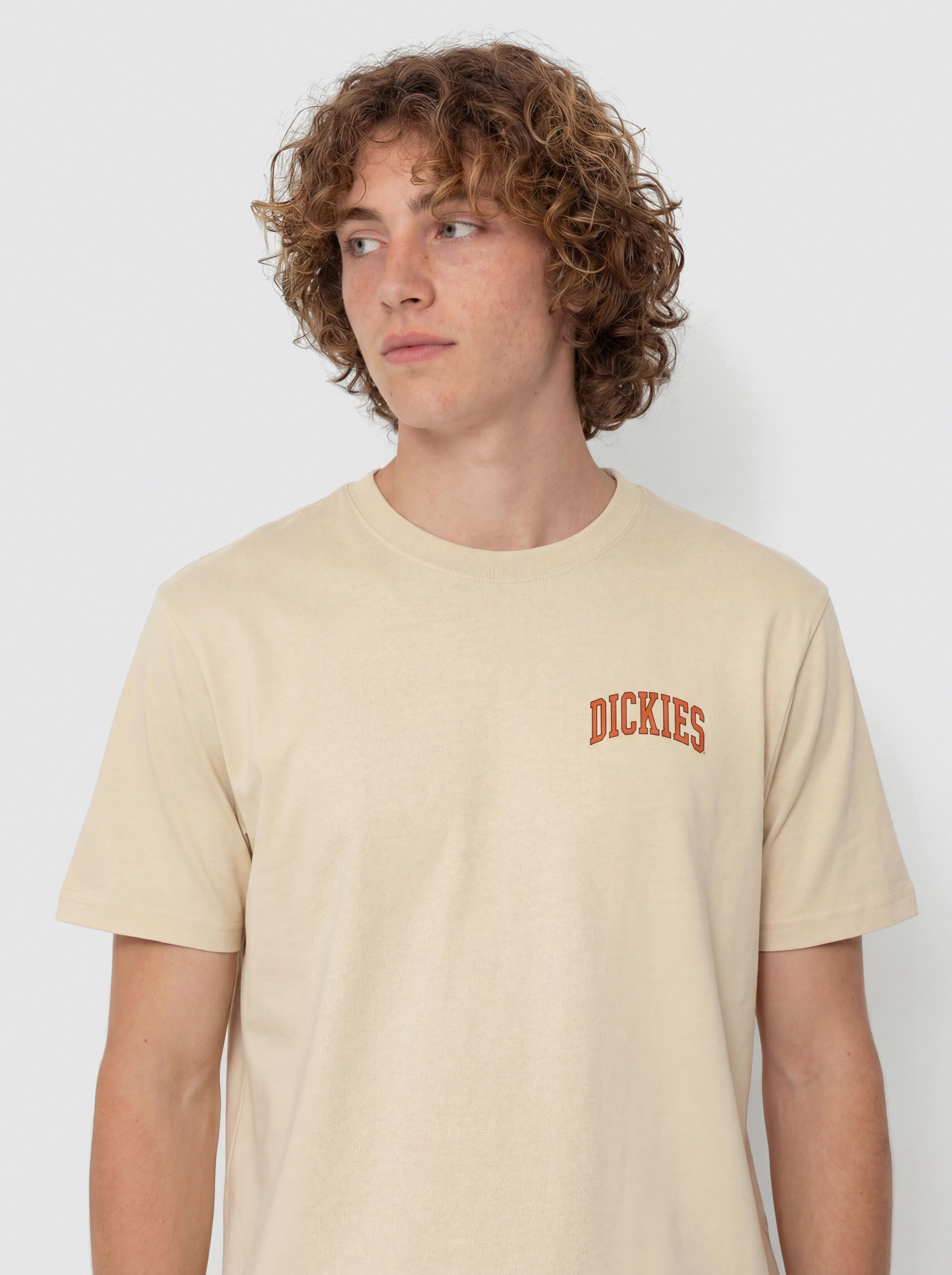 Dickies Aitkin Chest T-Shirt (wood ash)