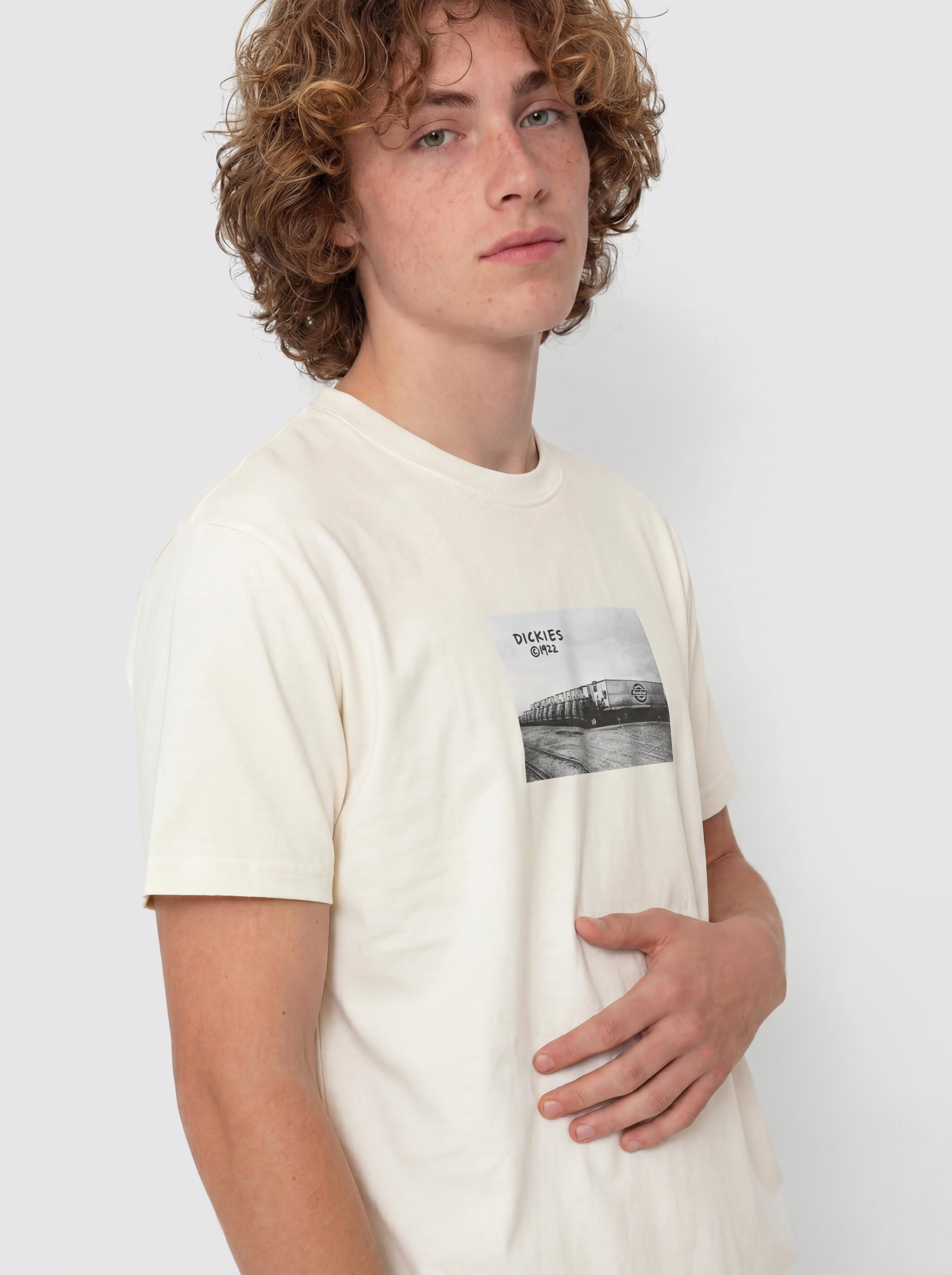 Dickies Sevier T-shirt (egret)