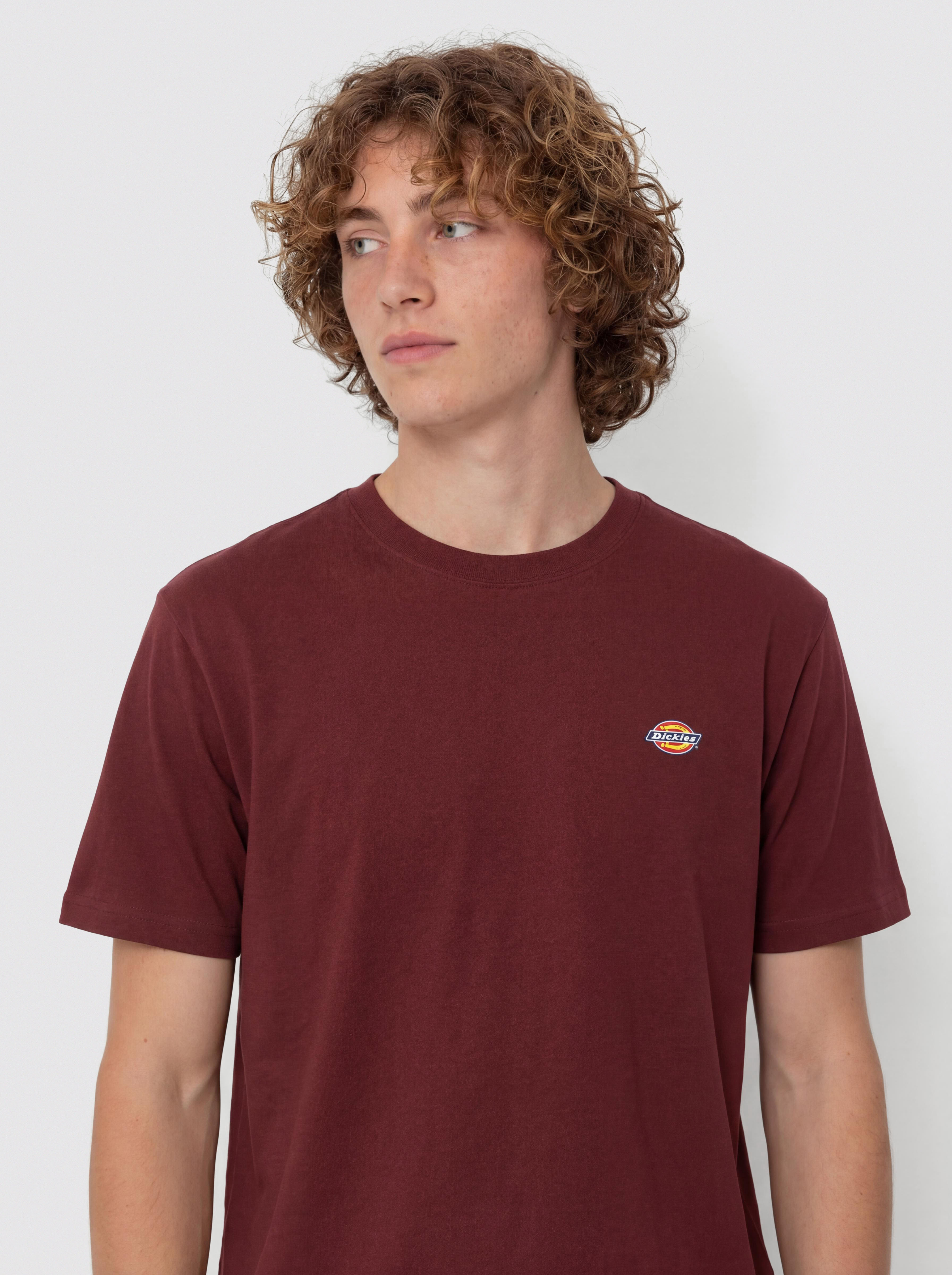 Dickies Mapleton T-Shirt (andorra)