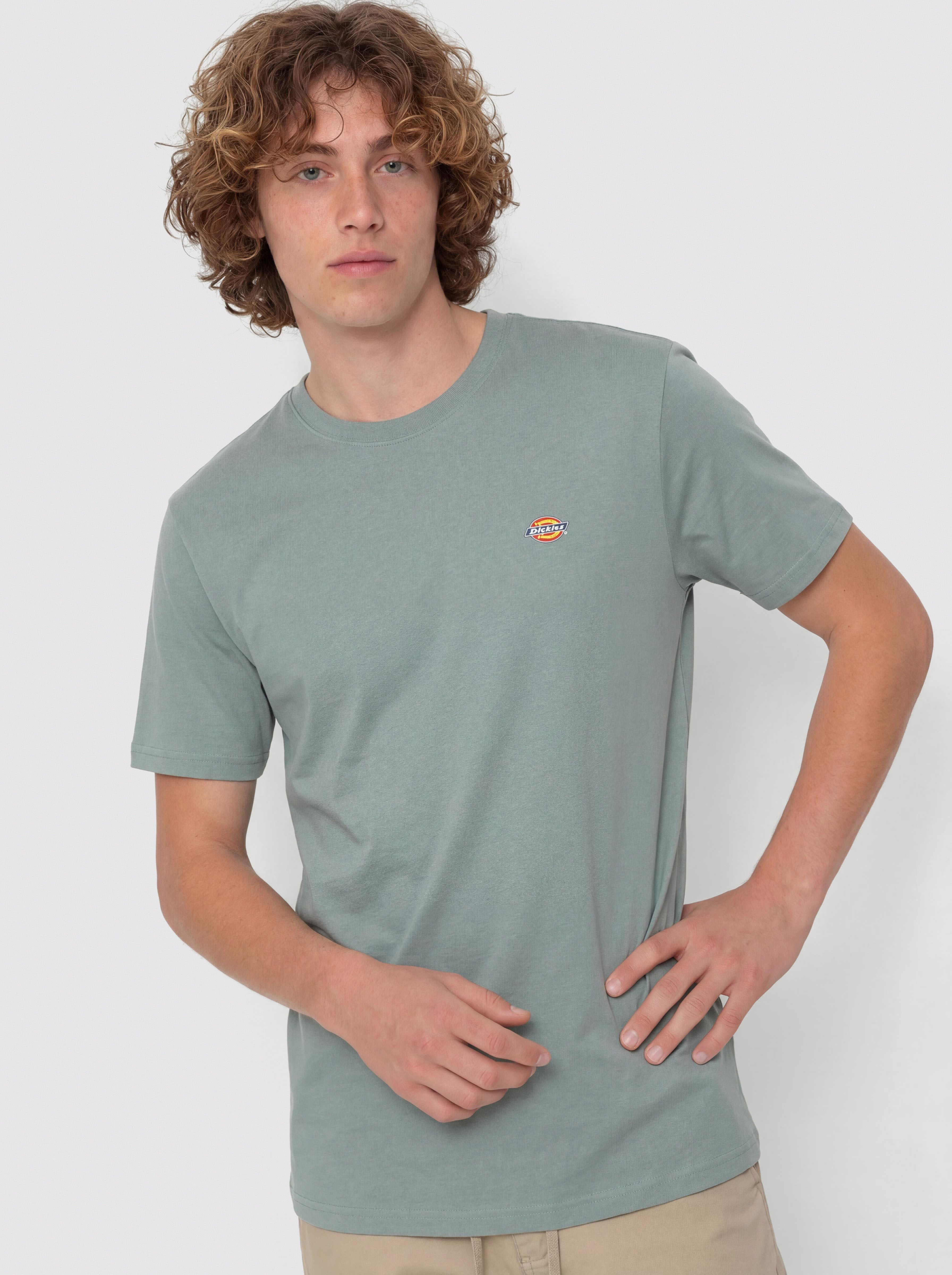 Dickies Mapleton T-Shirt (stormy sea)