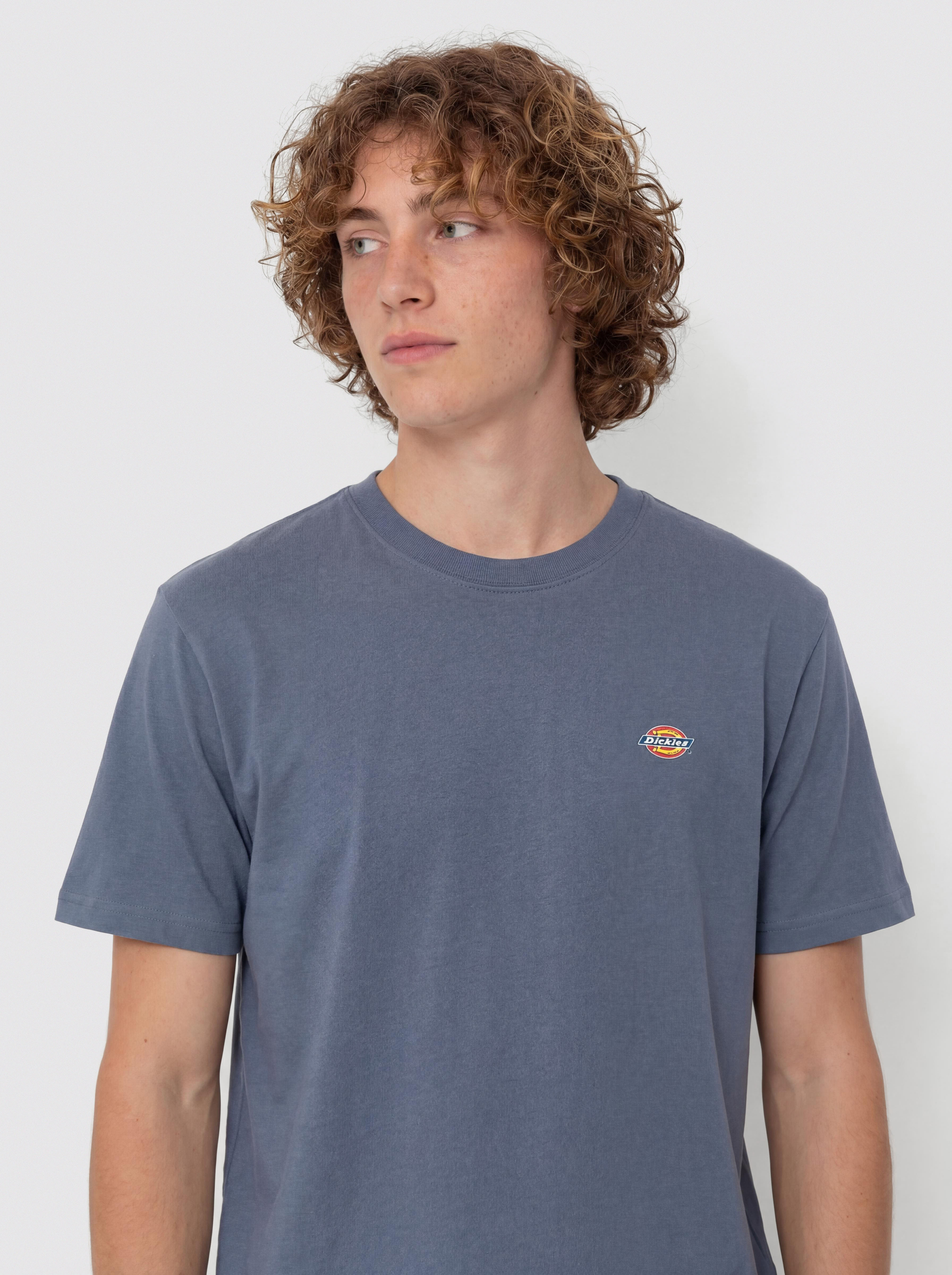 Dickies Mapleton T-Shirt (retro indigo)