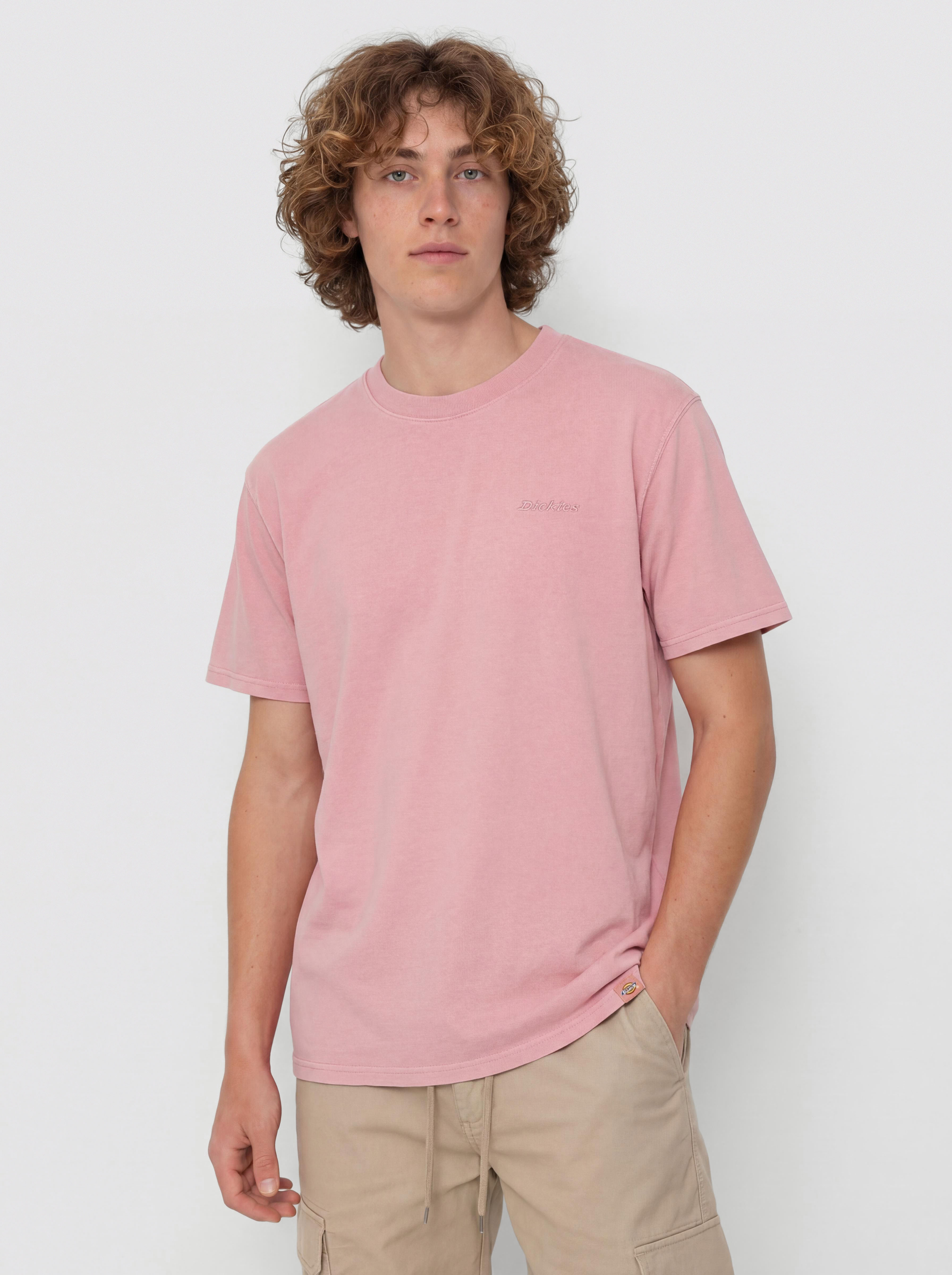 Dickies Plentywood T-Shirt - pink (lilas)