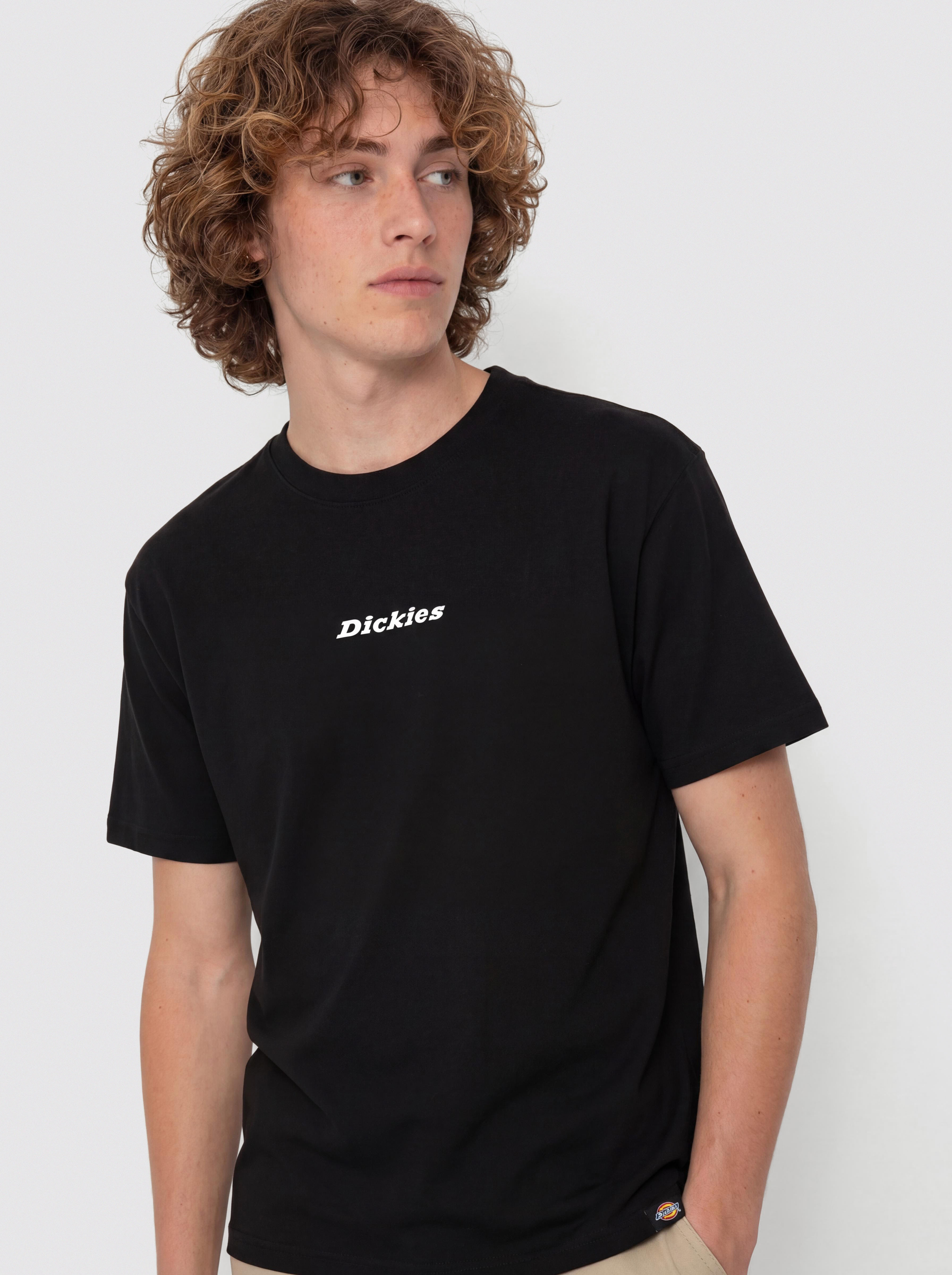 Dickies Enterprise T-Shirt (black)