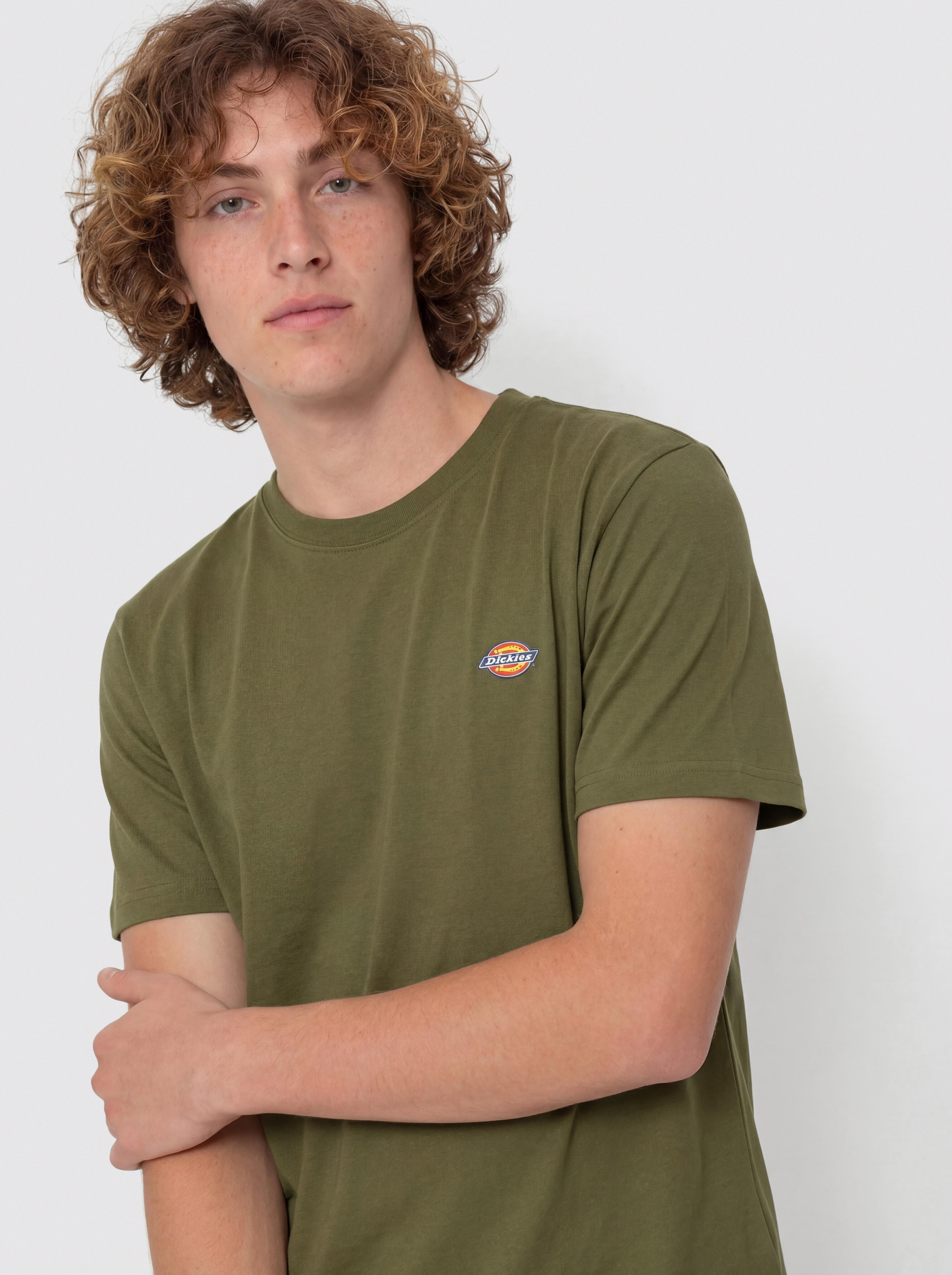 Dickies Mapleton T-Shirt (cypress)