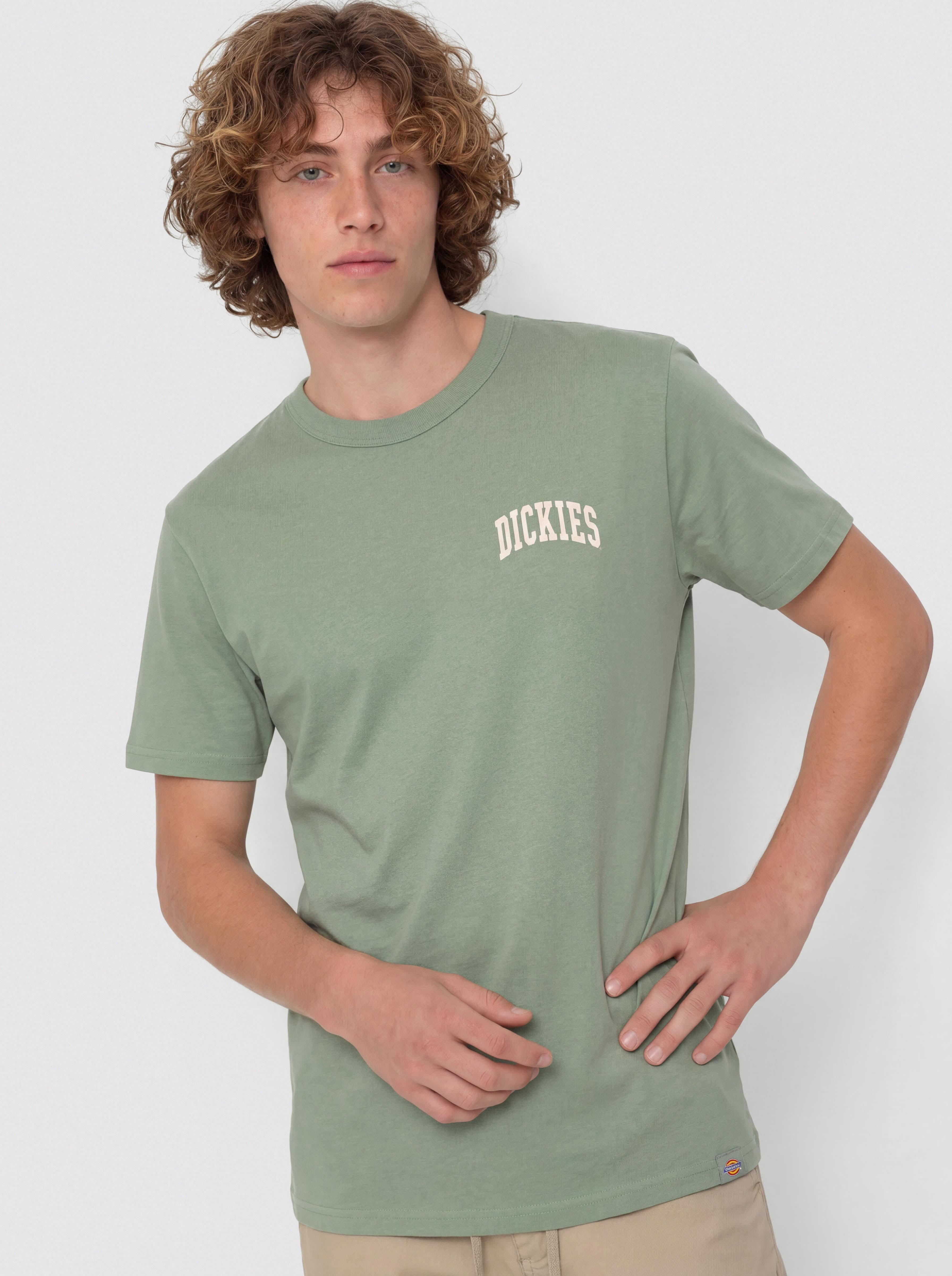 Dickies Aitkin Chest T-Shirt (sea spray)