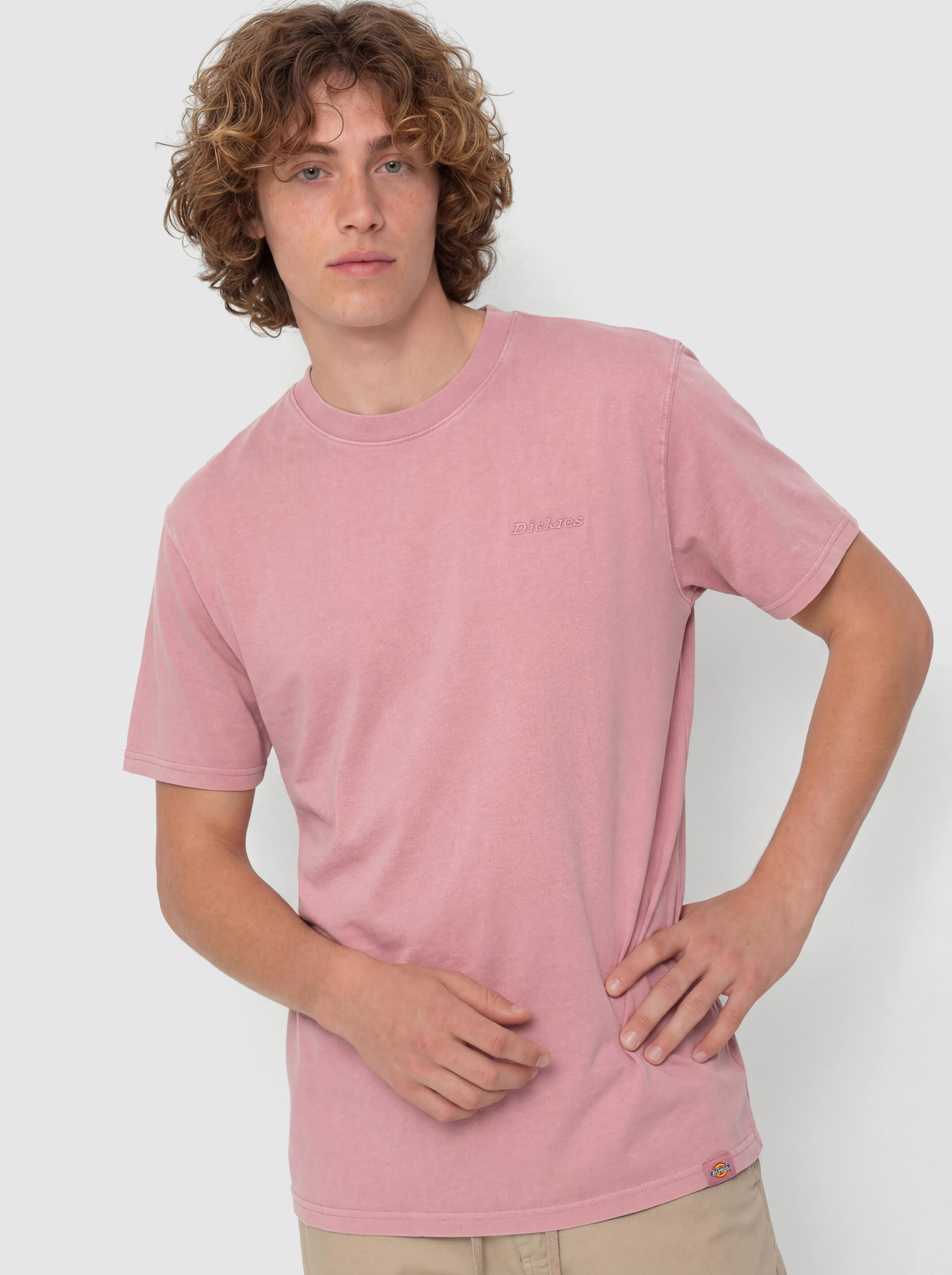 Dickies Plentywood T-Shirt (lilas)