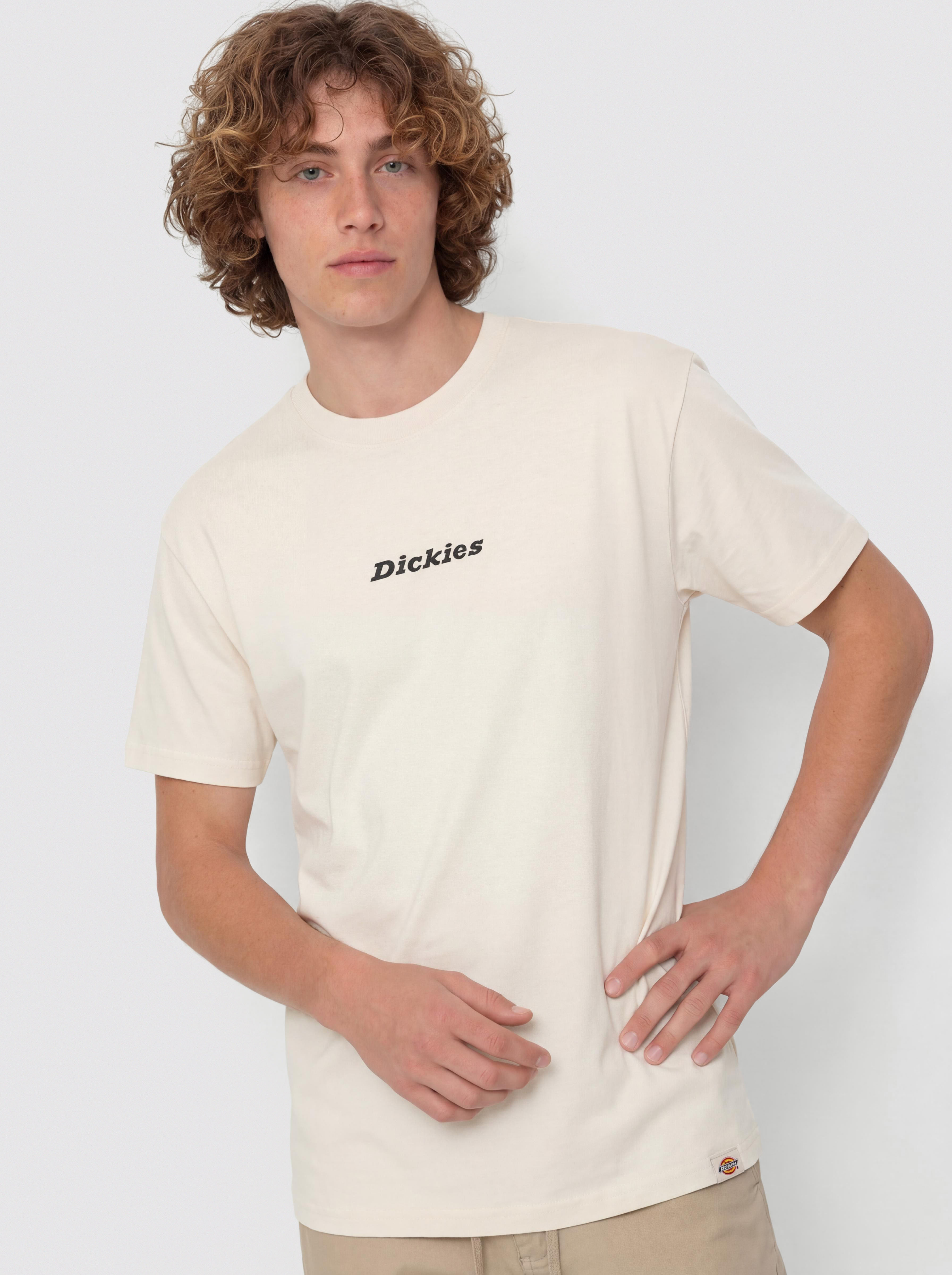 Dickies Enterprise T-Shirt (whitecap gray)