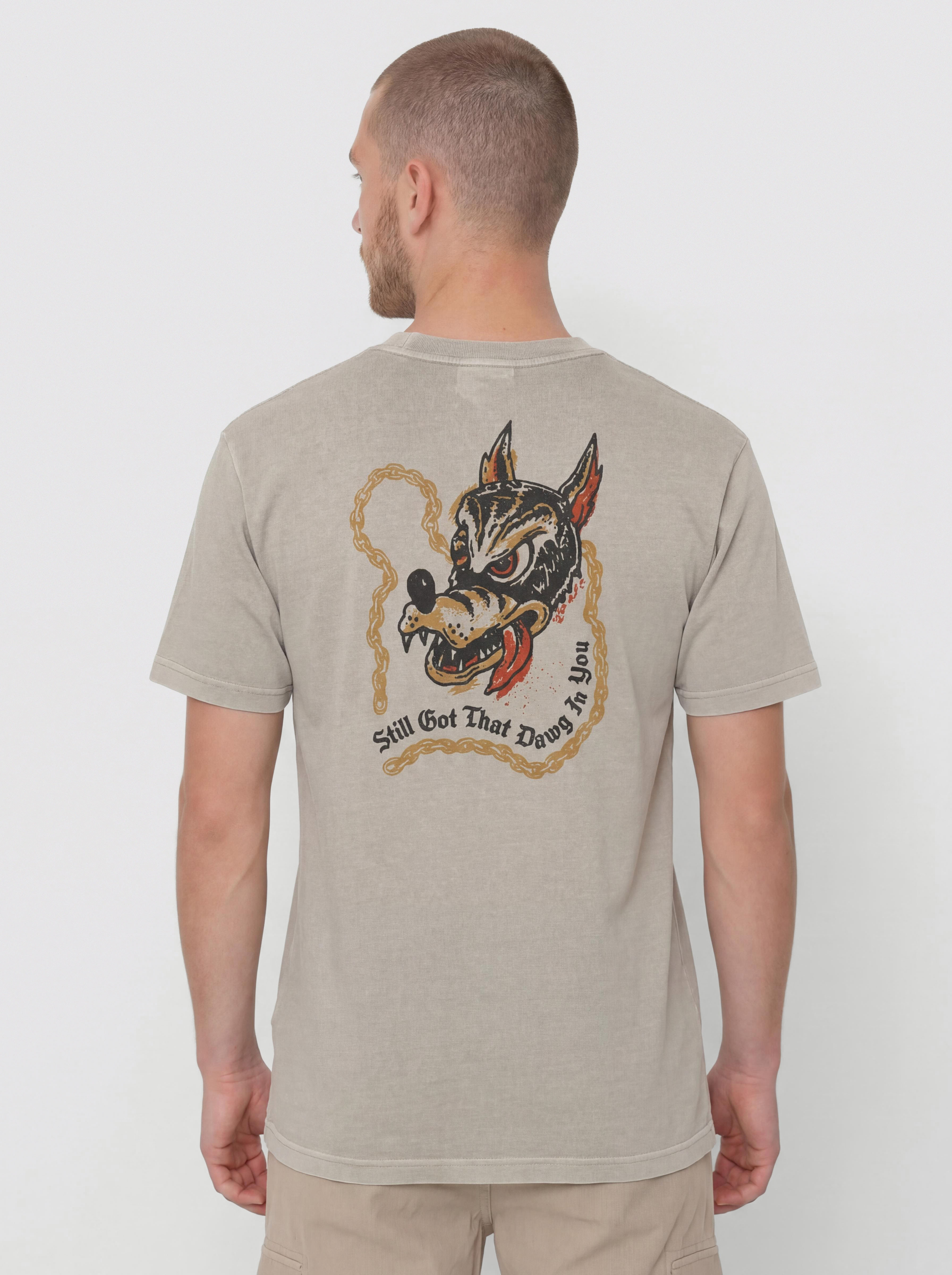 Brixton Dawg Stt T-Shirt (pebble stone worn wash)