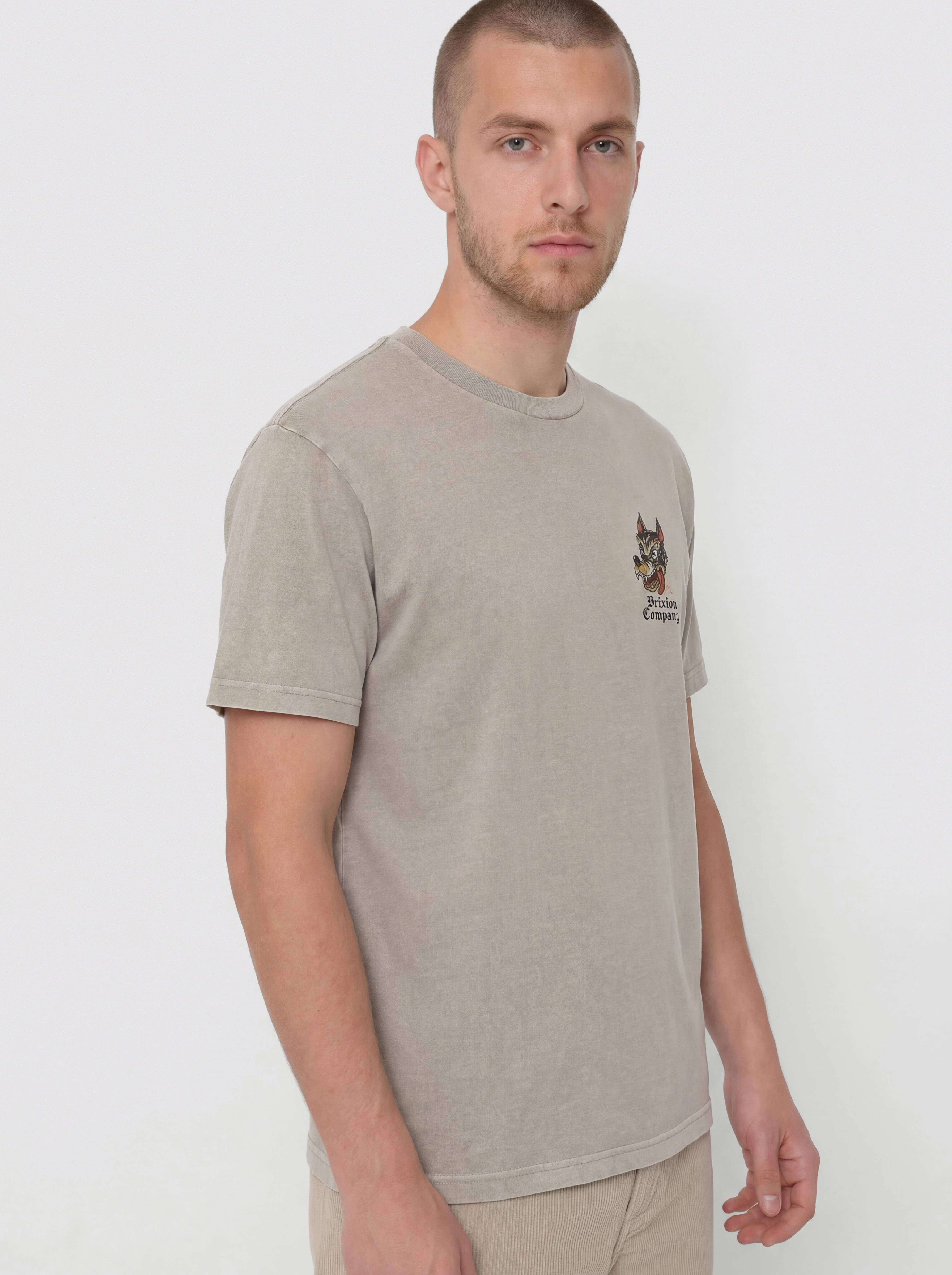 Brixton Dawg Stt T-Shirt (pebble stone worn wash)