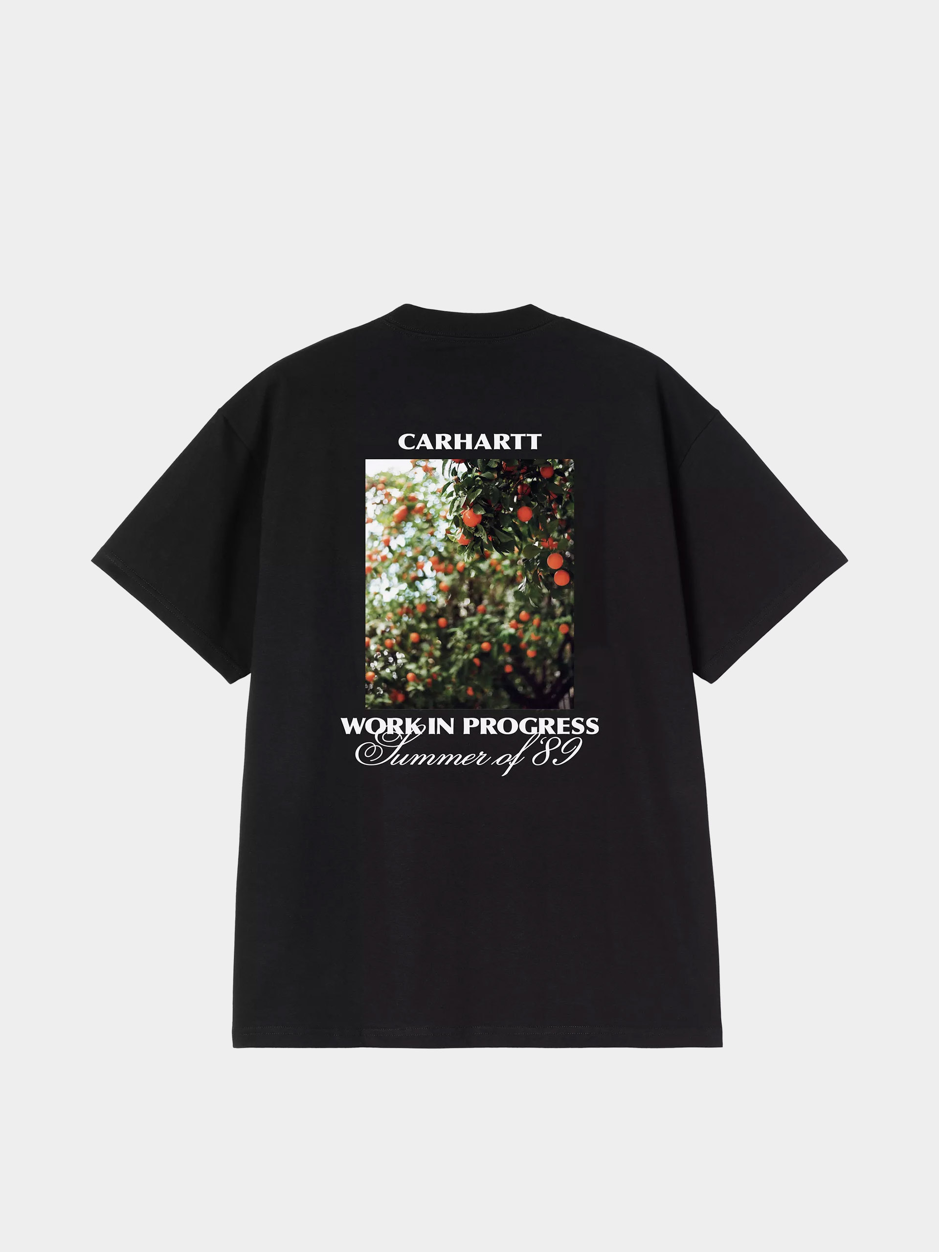 Carhartt WIP T-Shirt Warm Views (black)