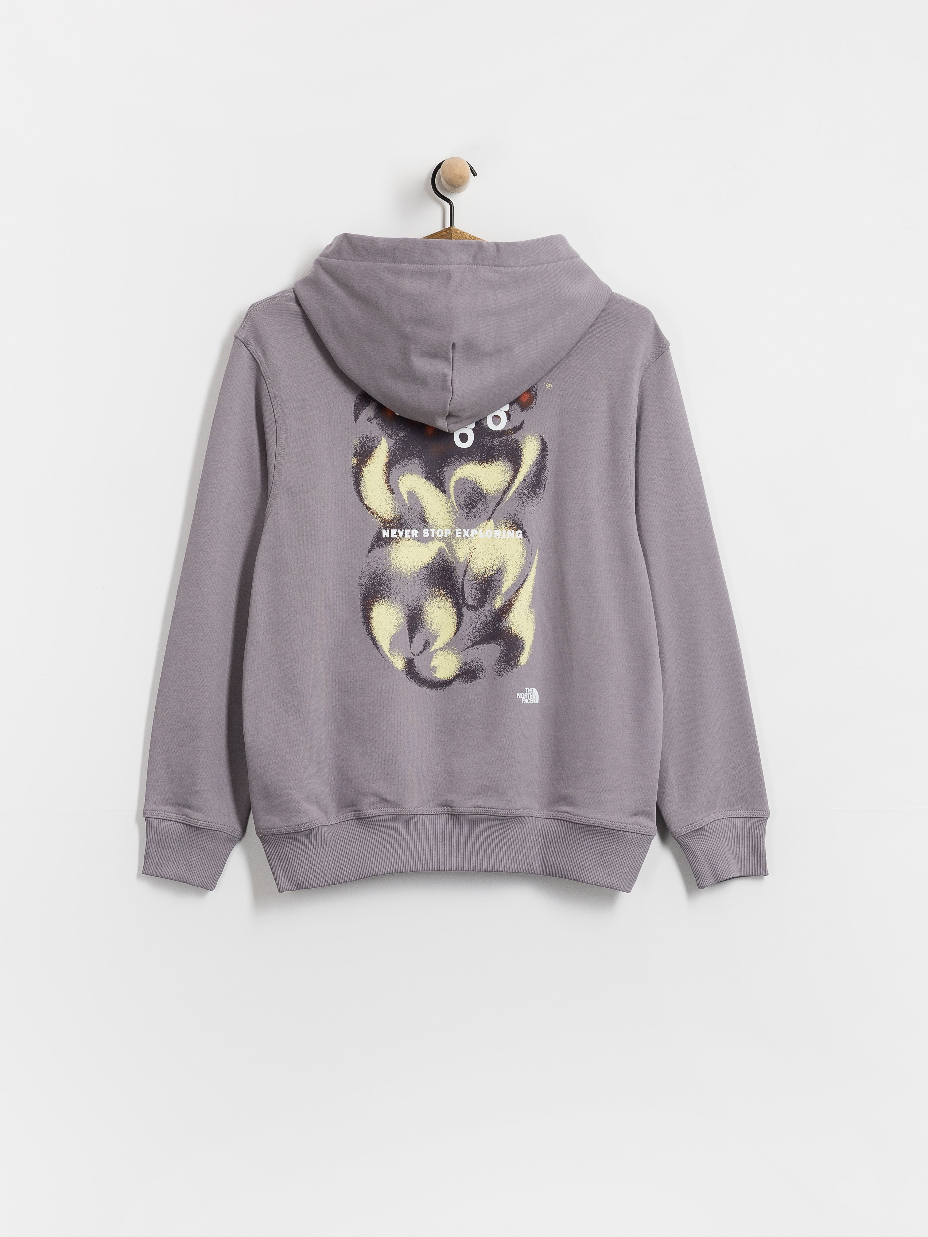 bedsidedrama ベッドサイドドラマ Northern Hoodie The North Face 'Animals We Love' Bear Hoodie Mystic Haze