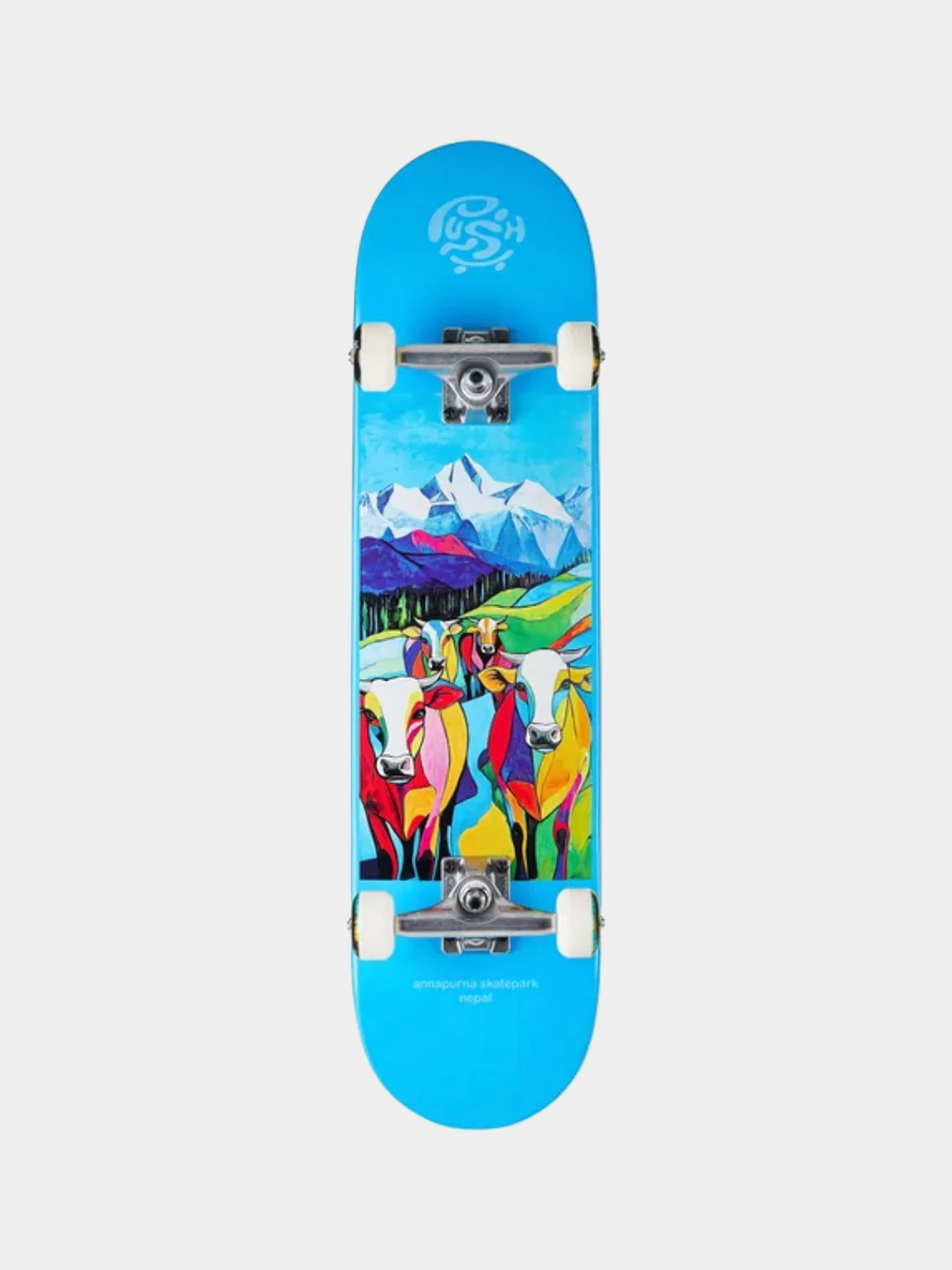 Push Skateboard Nepal (light blue)