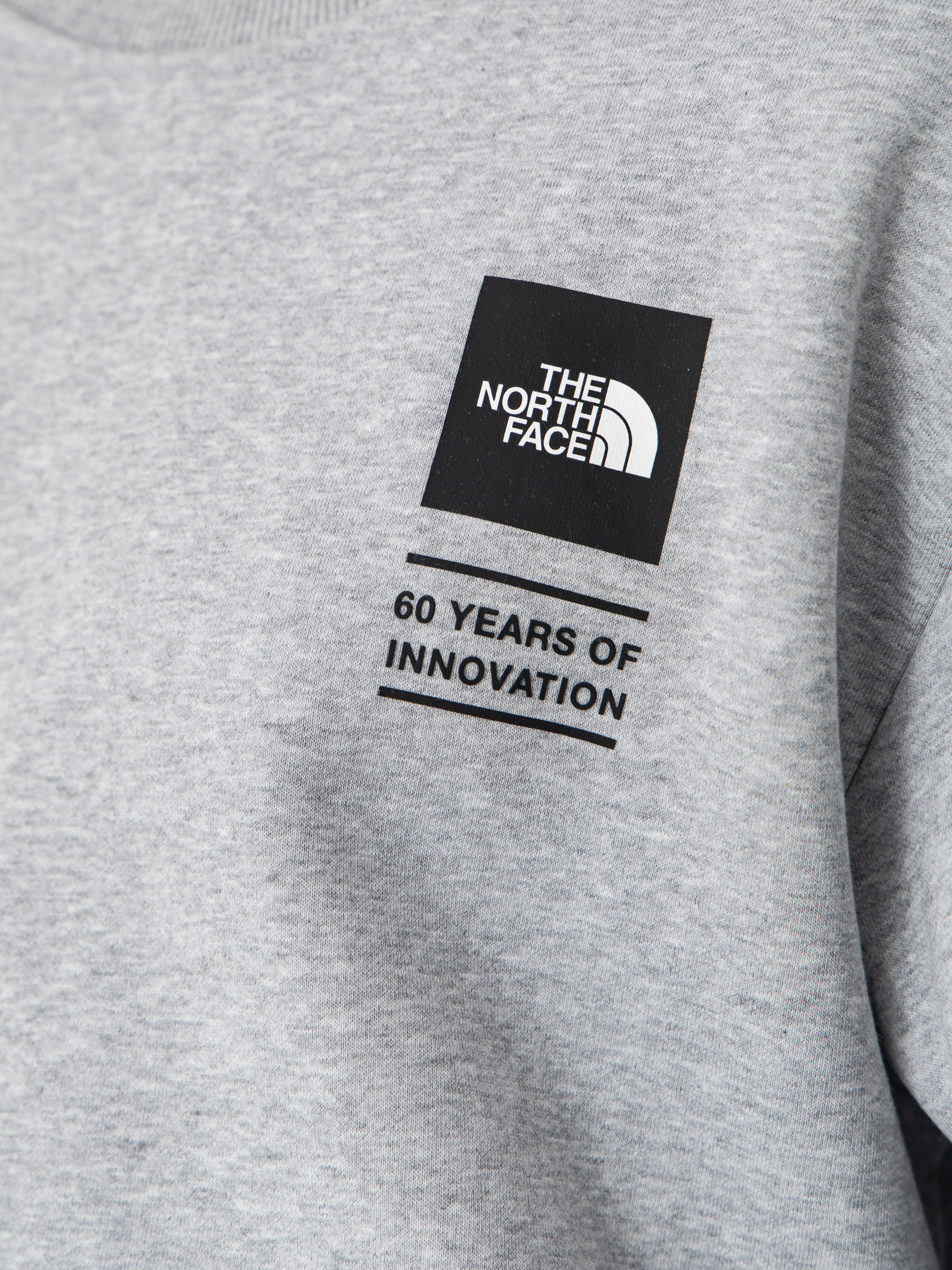 The North Face Tnf Celebration Relaxed Crew Sweatshirt (tnflightgreyhtr)