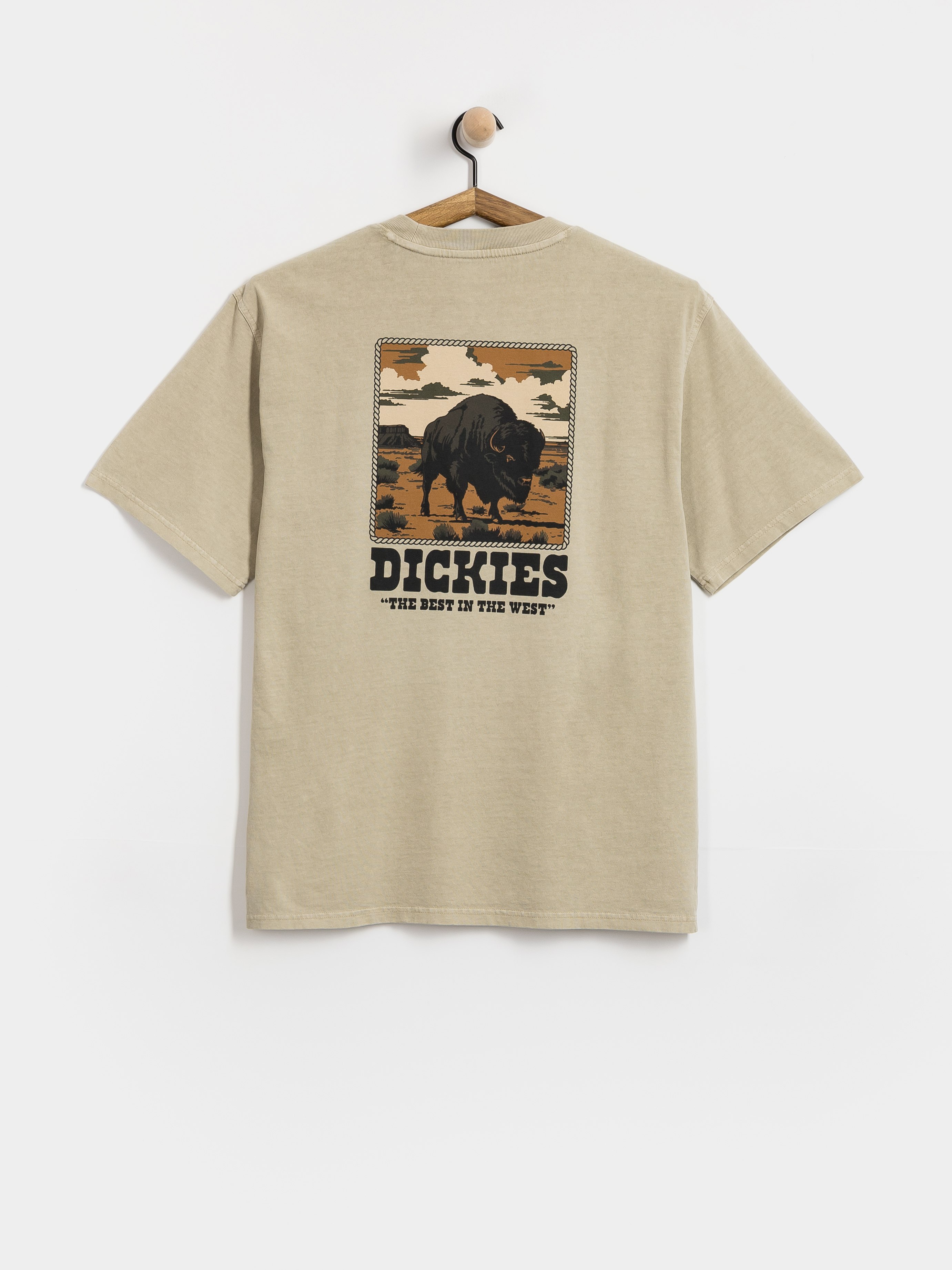 Dickies Darrtown T-Shirt