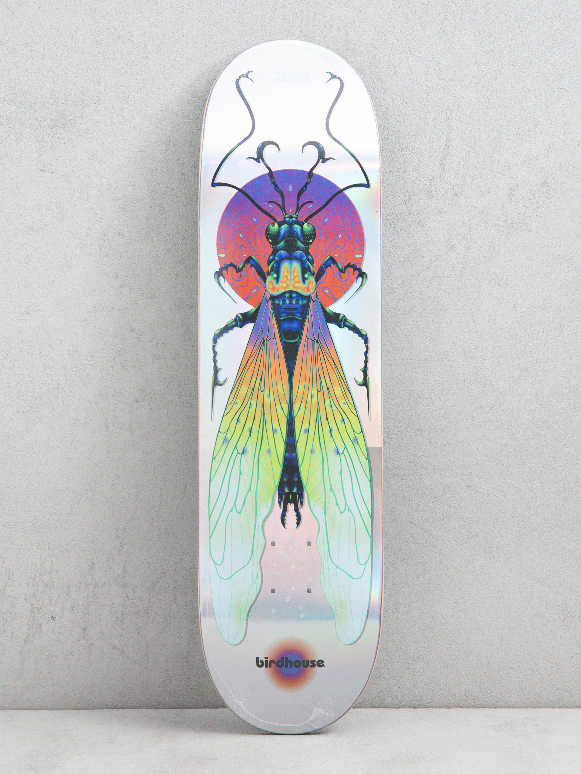 Birdhouse Jaws Ilham Insects Deck