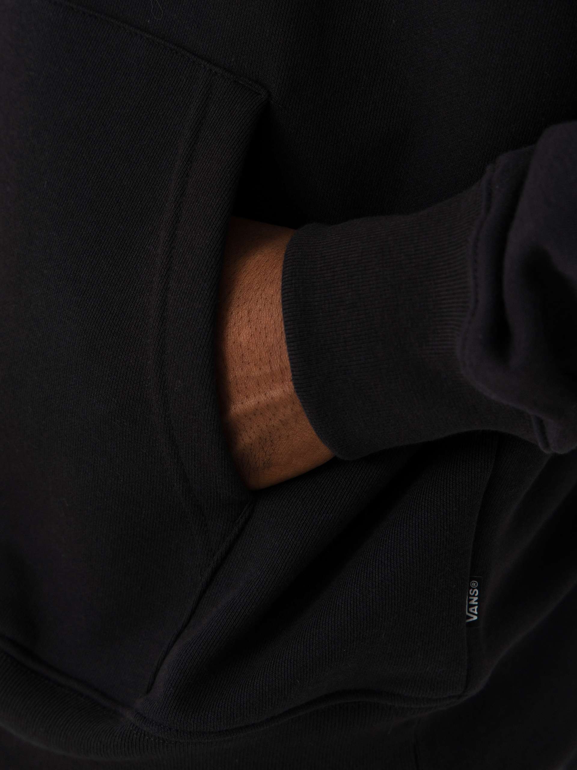 Vans Palm Drive HD Hoodie (black)