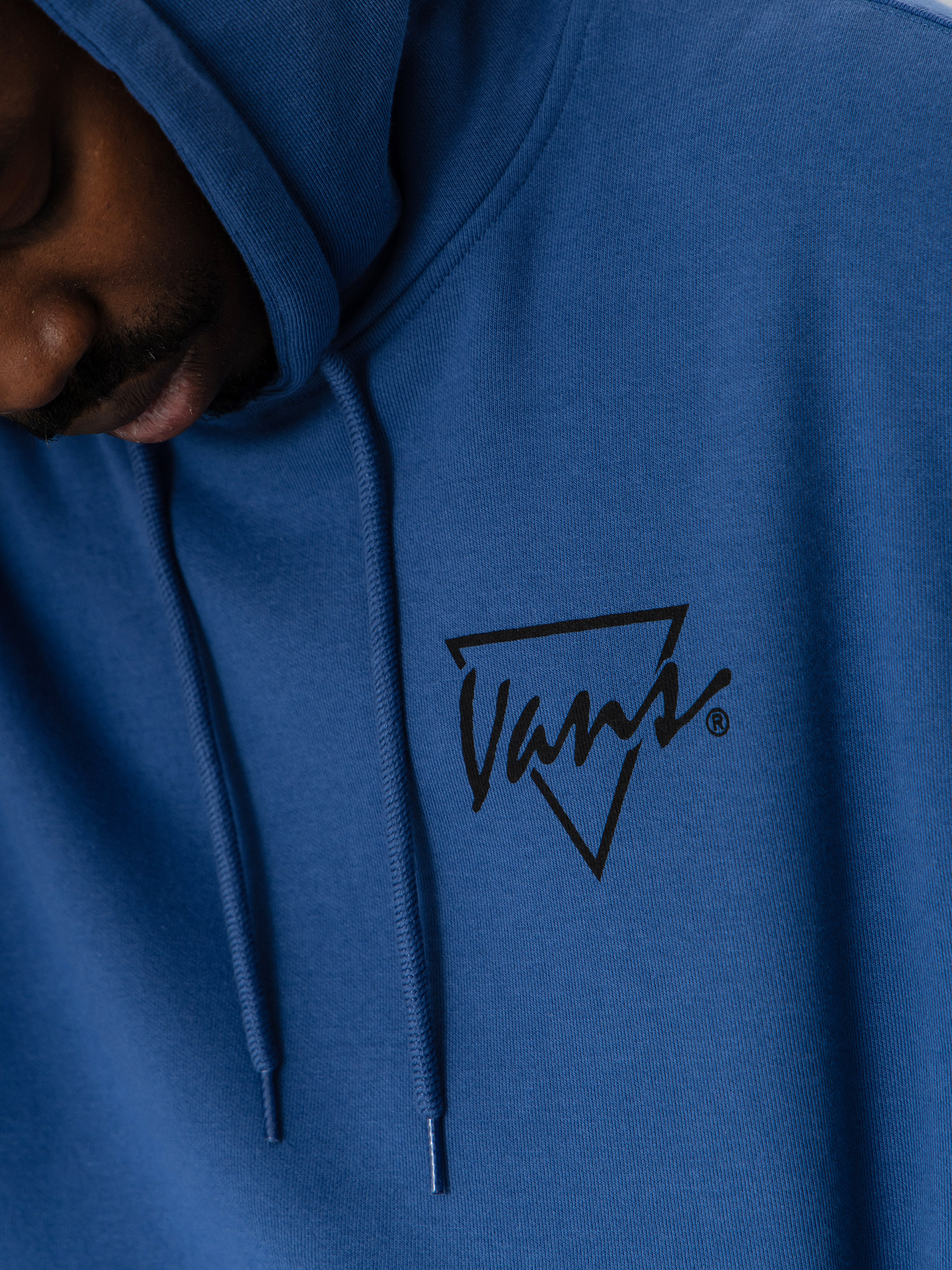 Vans Palm Drive HD Hoodie (true navy)