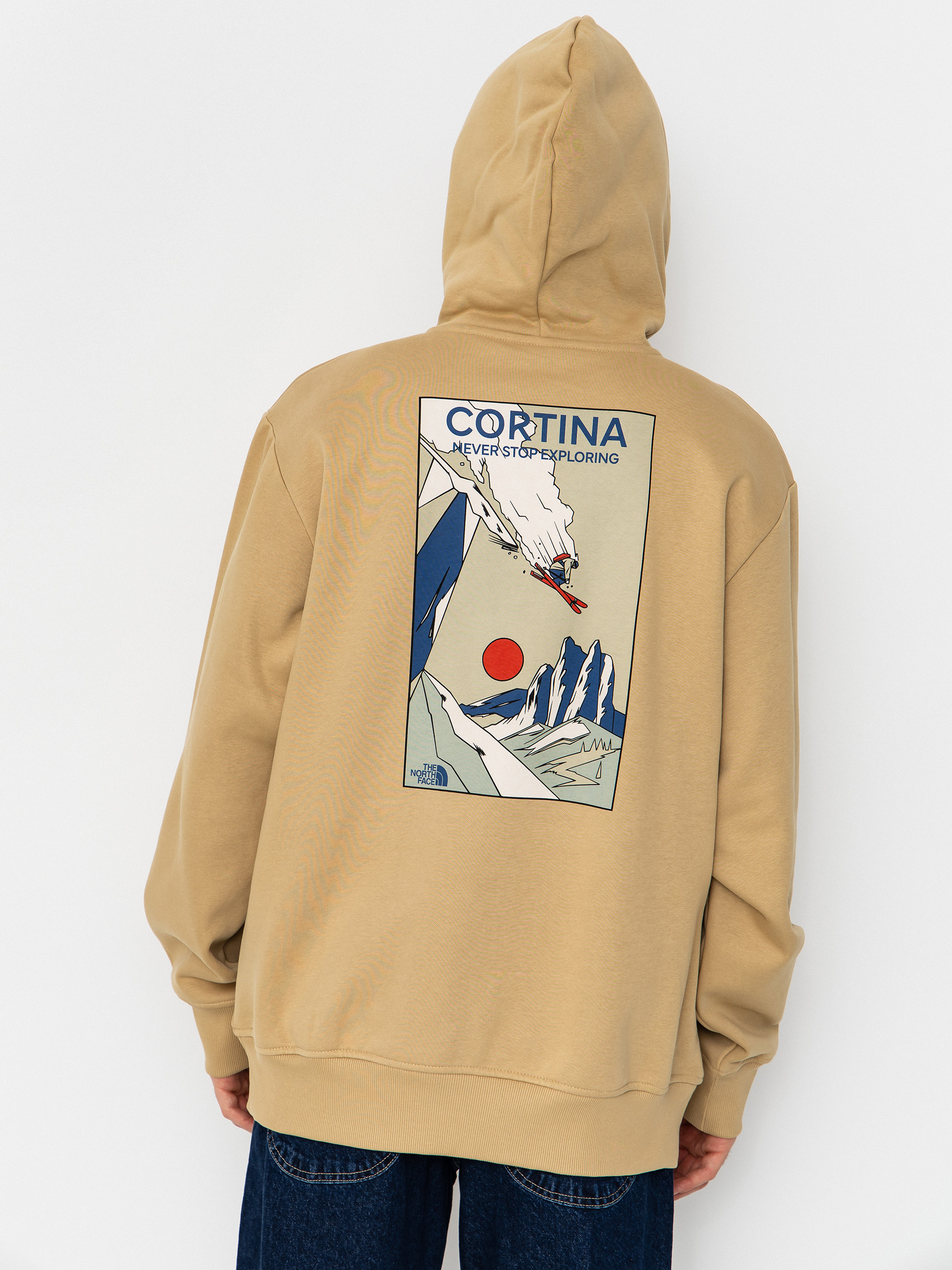 The North Face Mountain Celebration Relaxed HD Hoodie (khaki stone)