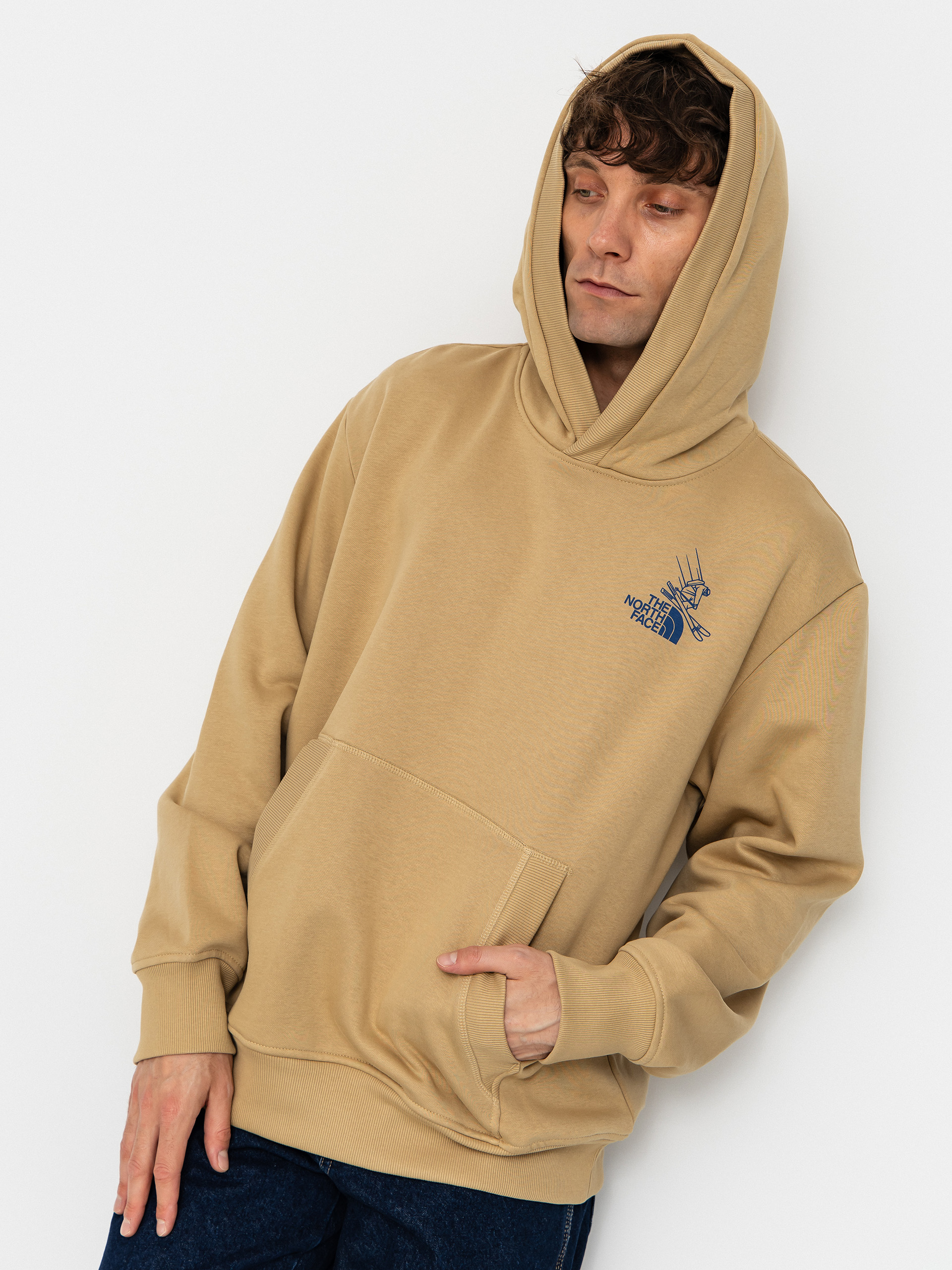 The North Face Mountain Celebration Relaxed HD Hoodie (khaki stone)