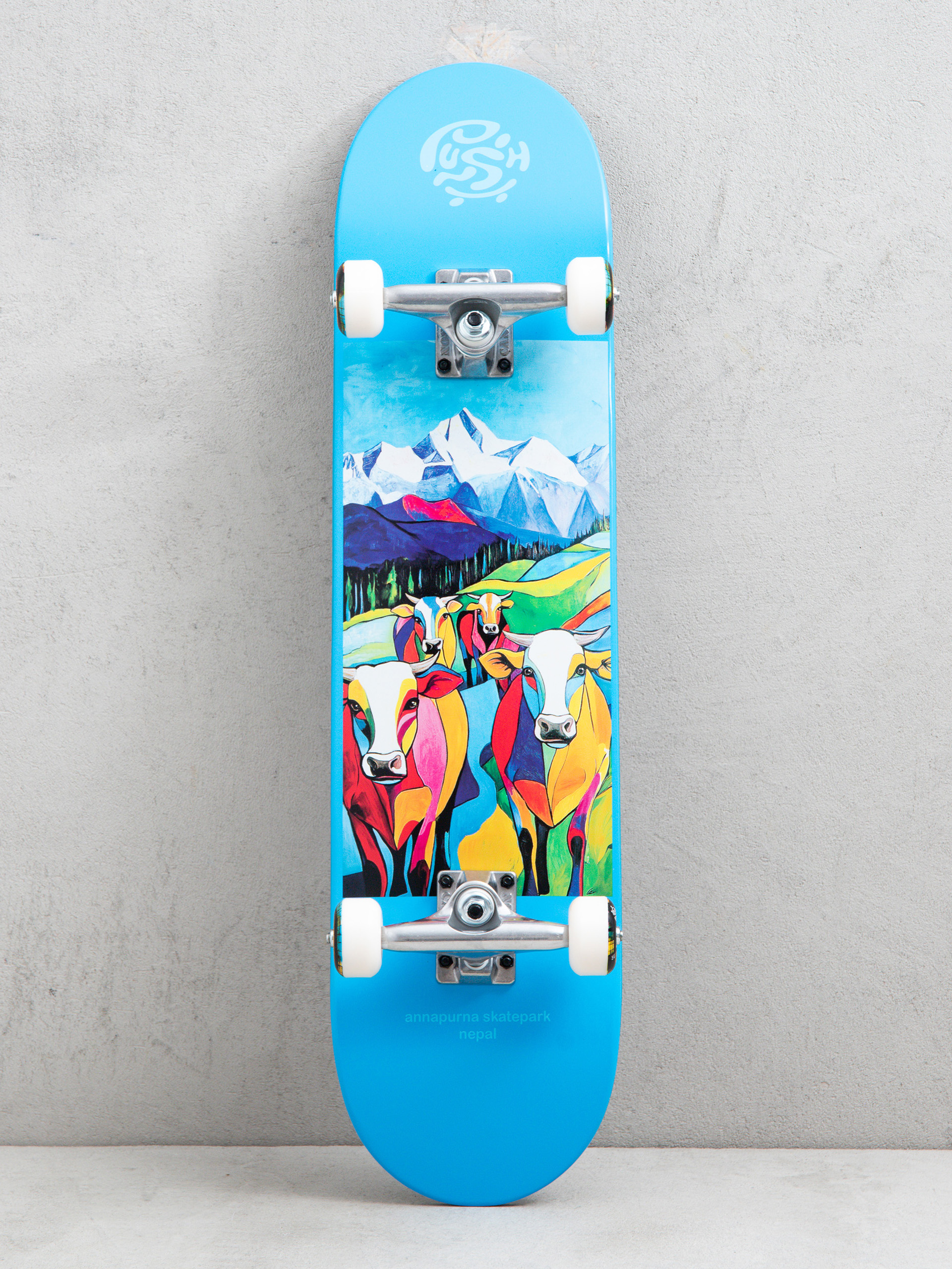 Push Skateboard Nepal (light blue)
