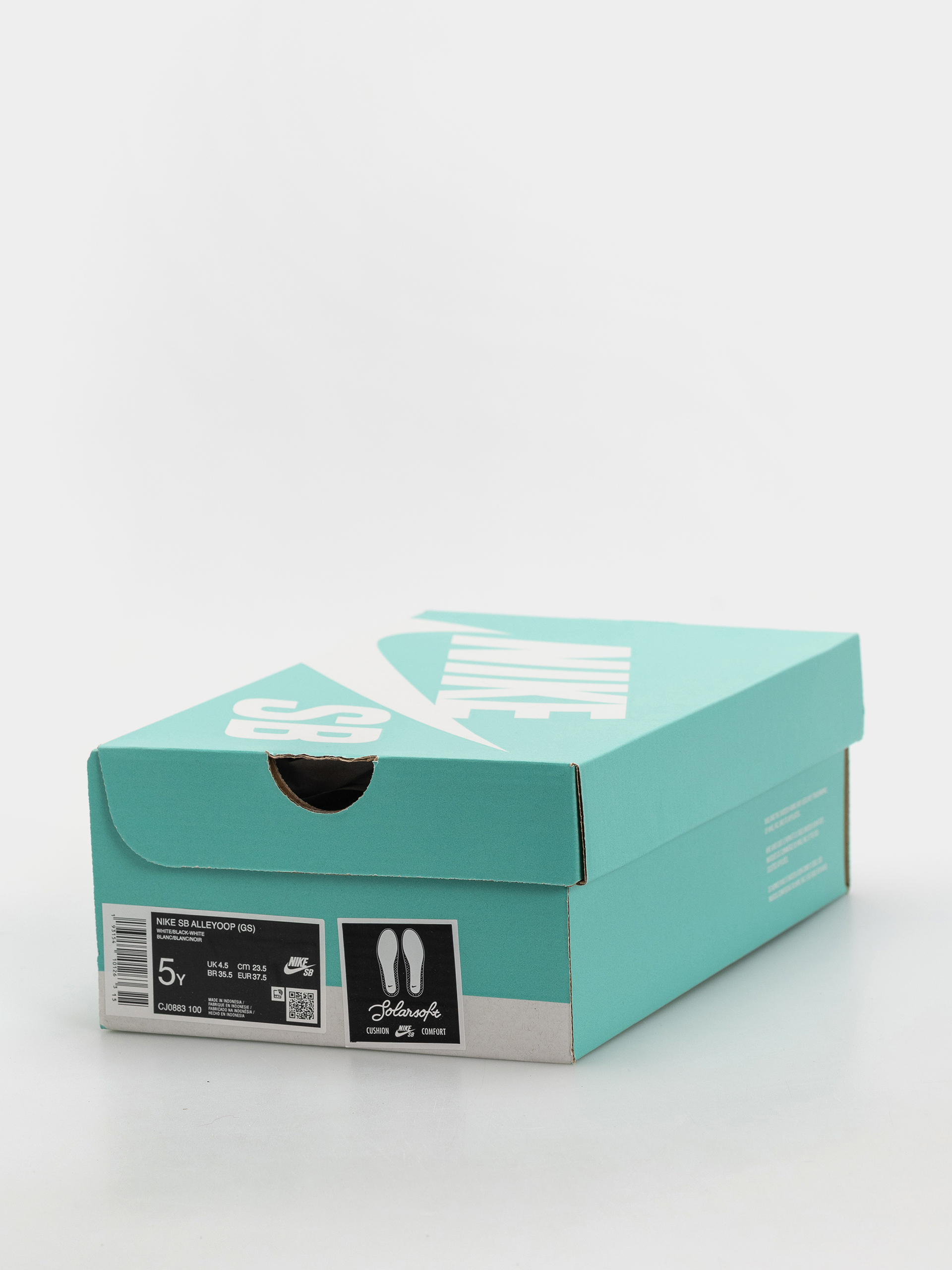 Nike SB Alleyoop JR Shoes (white/black white)