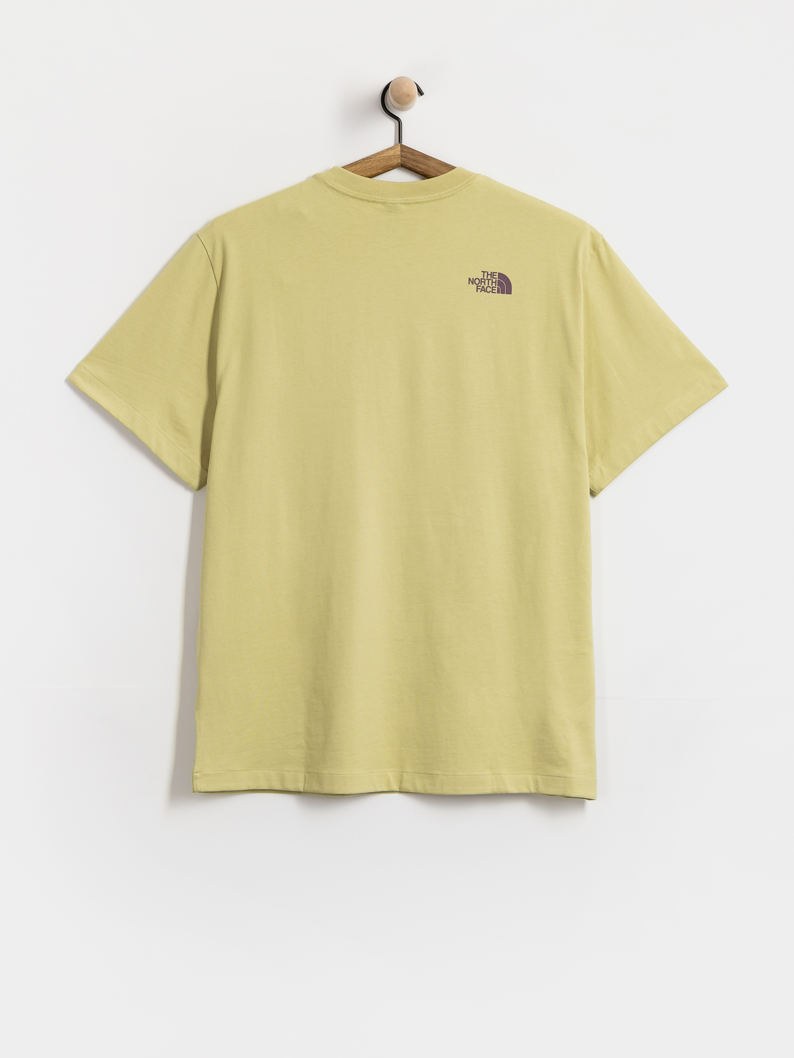 The North Face Mountain Play Relaxed T-Shirt (pear)
