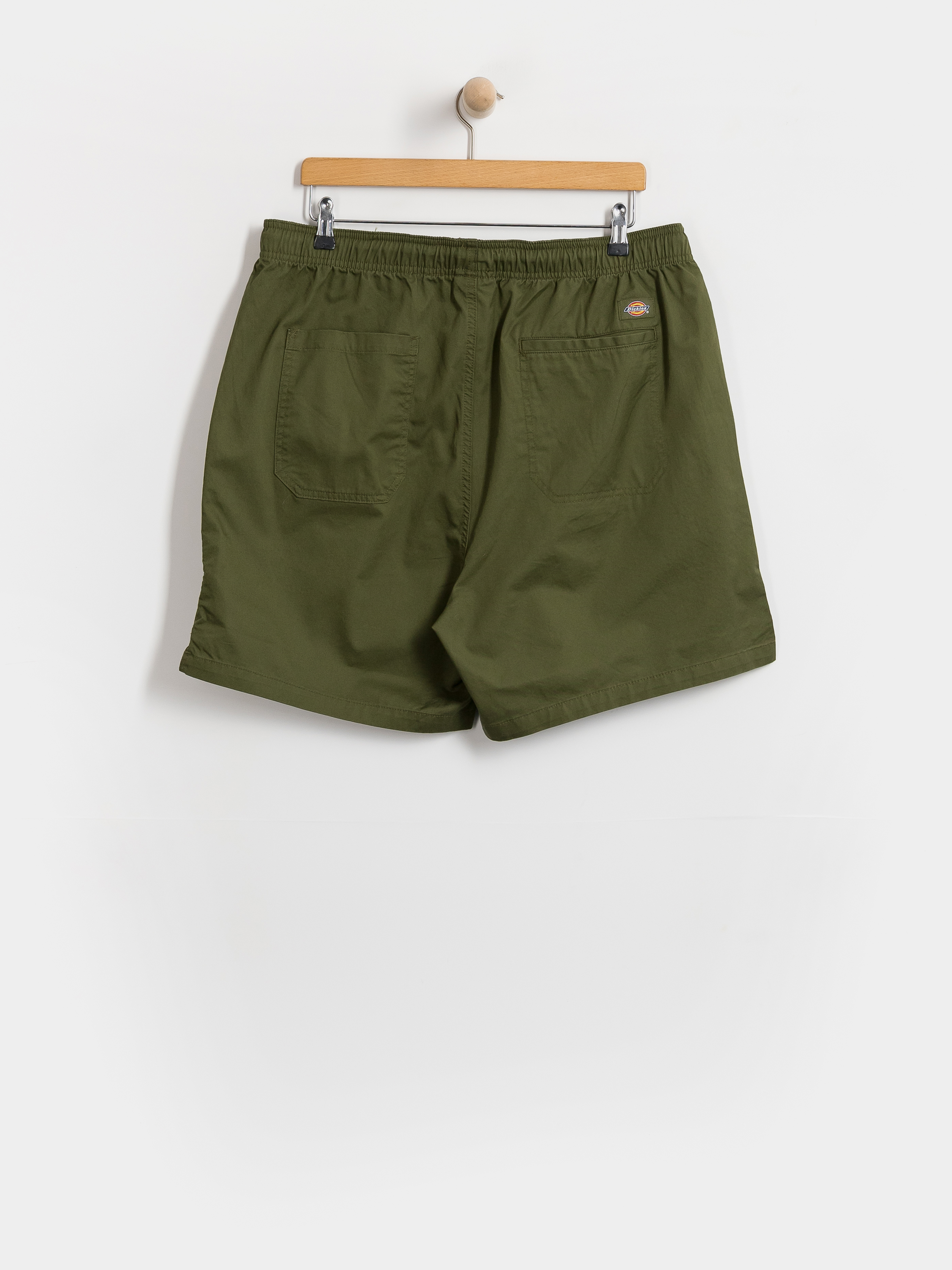Dickies Pelican Rapids Shorts (cypress)
