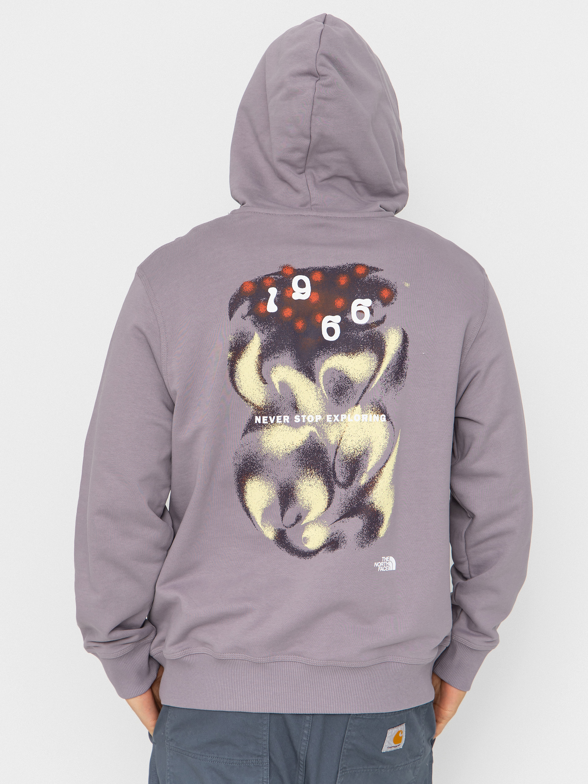 The North Face Hoodie Motion Relaxed HD (transcendent gr)