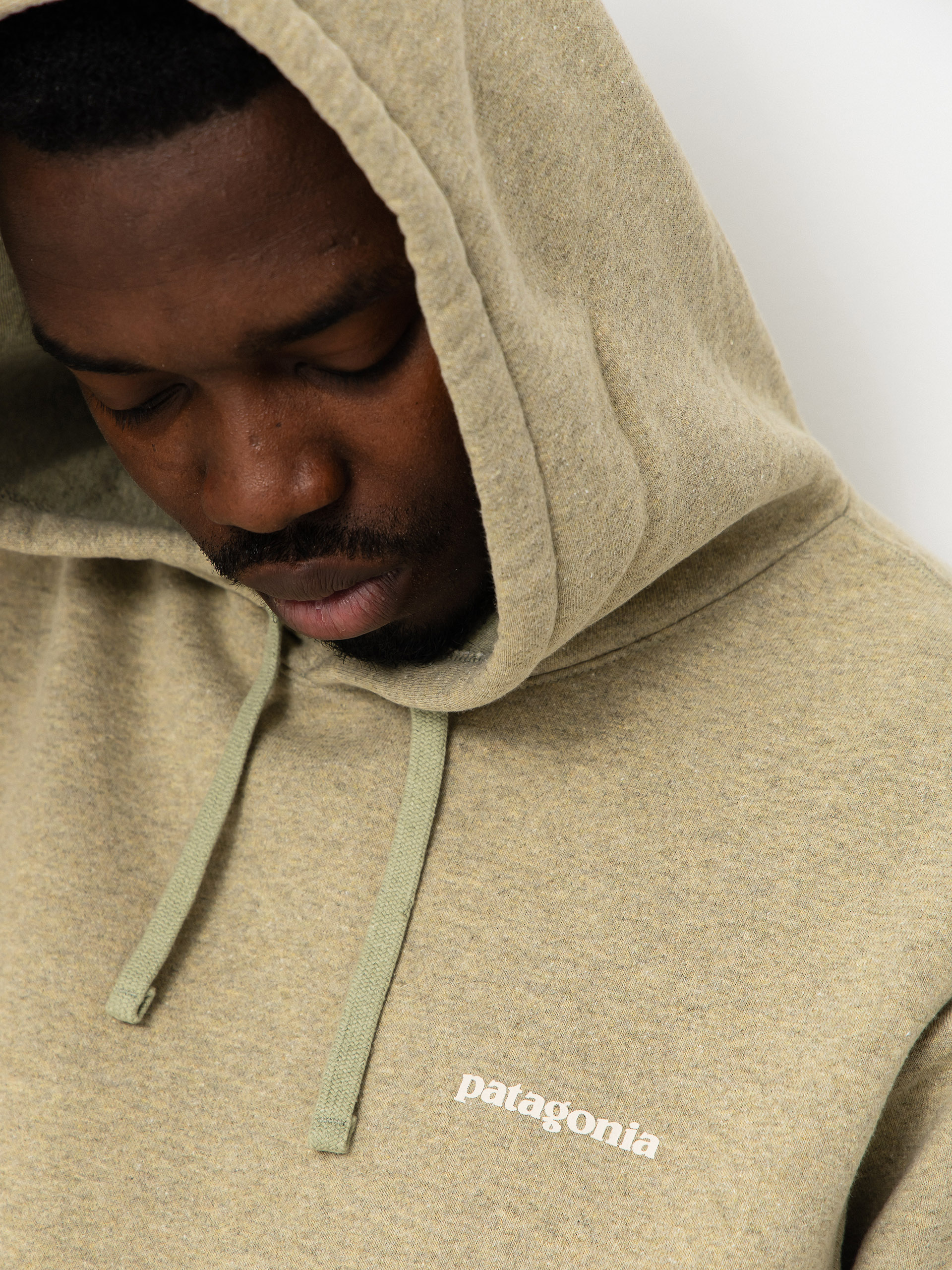 Patagonia Boardshort Logo Uprisal HD Hoodie (gumtree green)