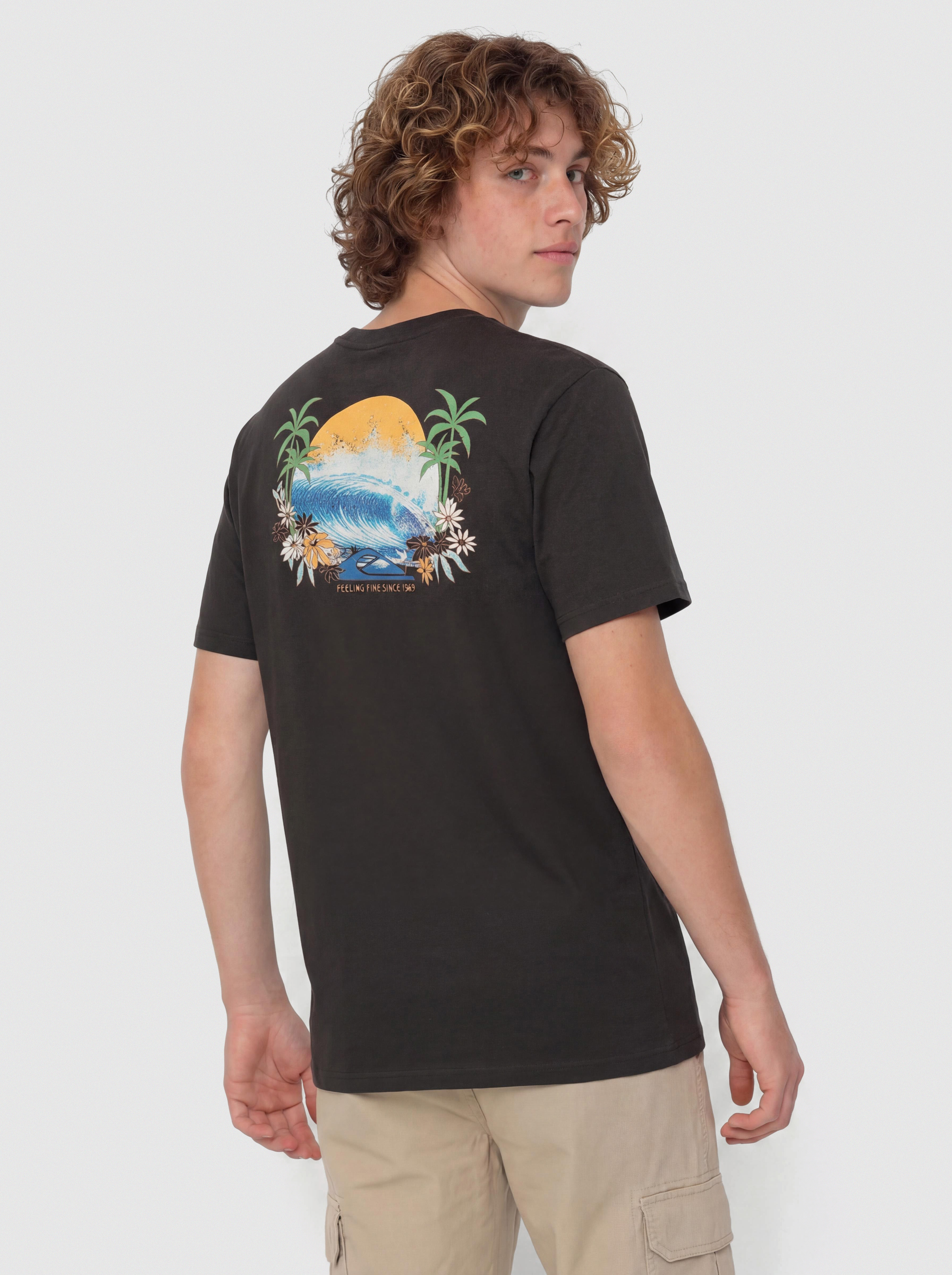 Quiksilver Ev Barrel Paradise T-Shirt (tarmac)