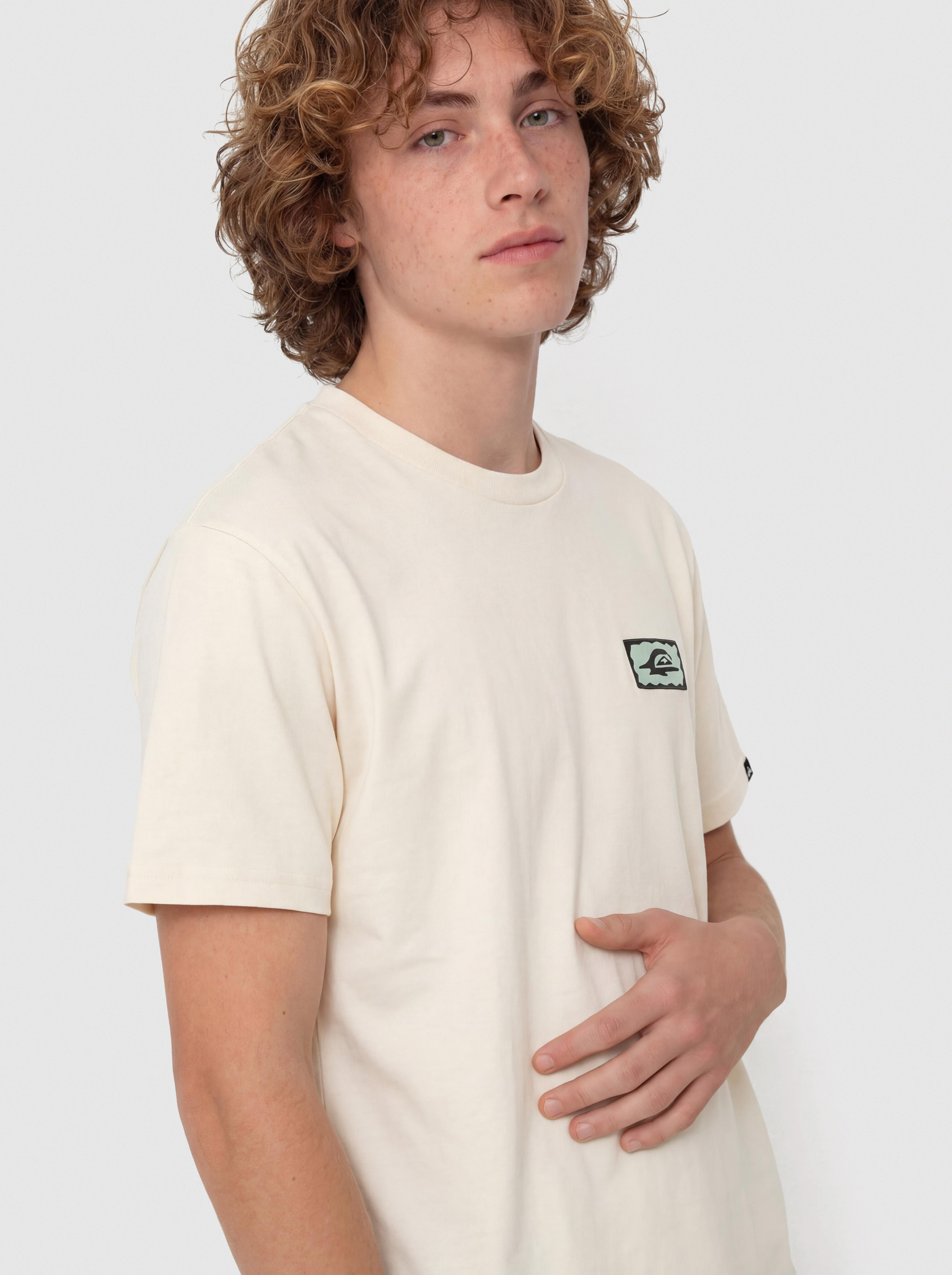 Quiksilver Serenity Splash T-Shirt (bone white)