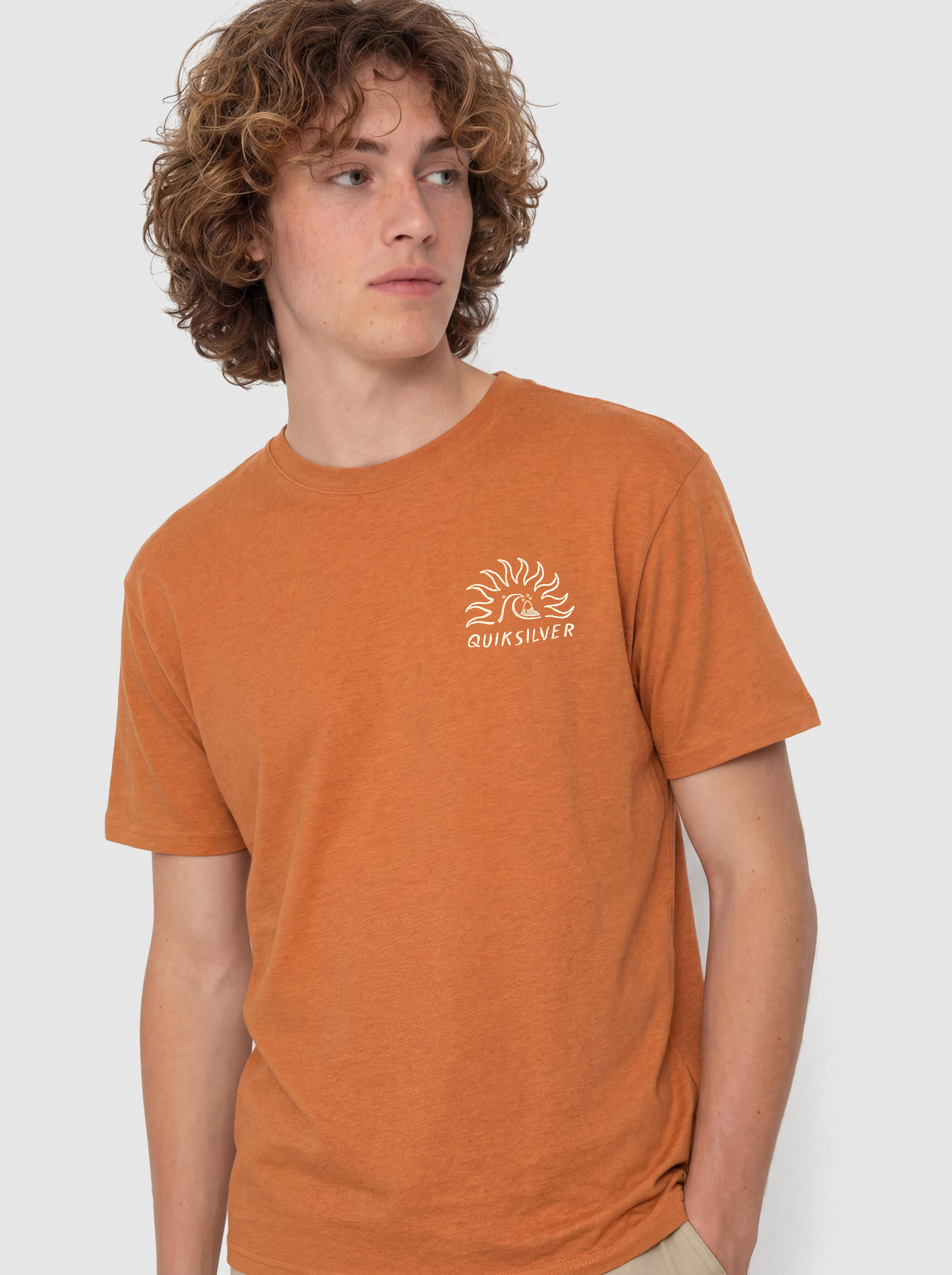 Quiksilver Freedom Swell T-shirt (bran)