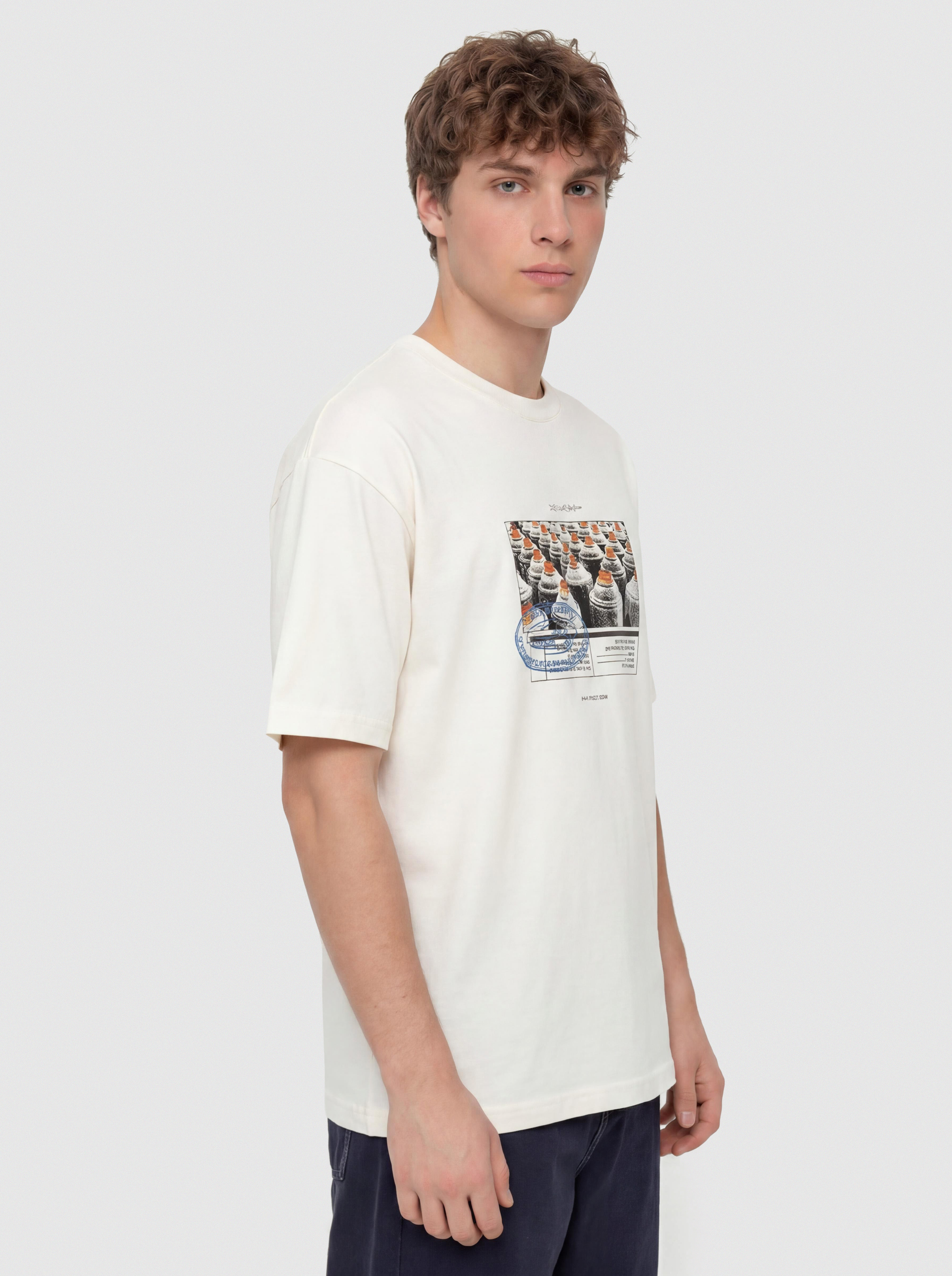Vans Style Tips T-Shirt (mountain essentials marshmallow)