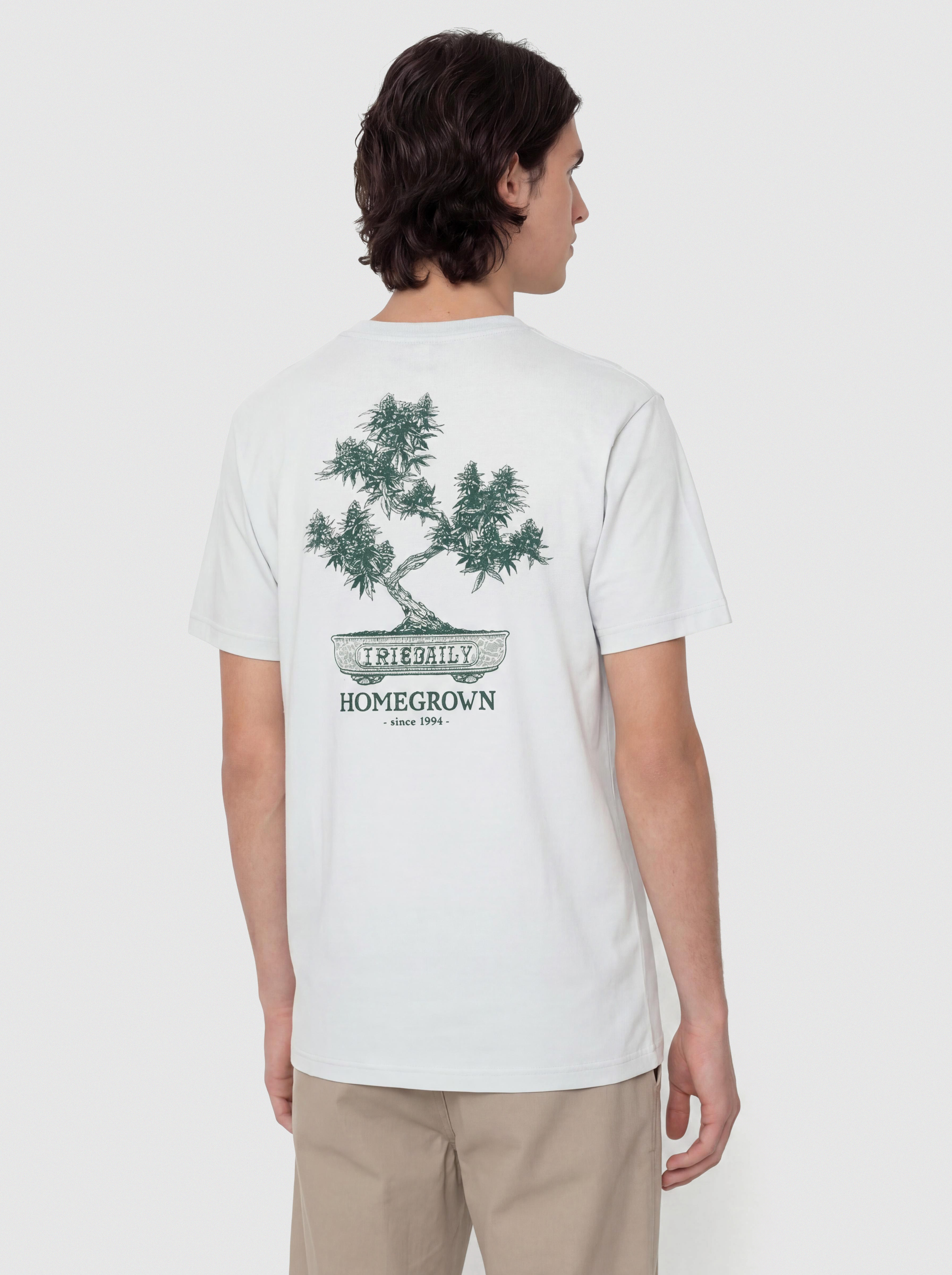 Iriedaily T-Shirt Bonsigh (mercury)