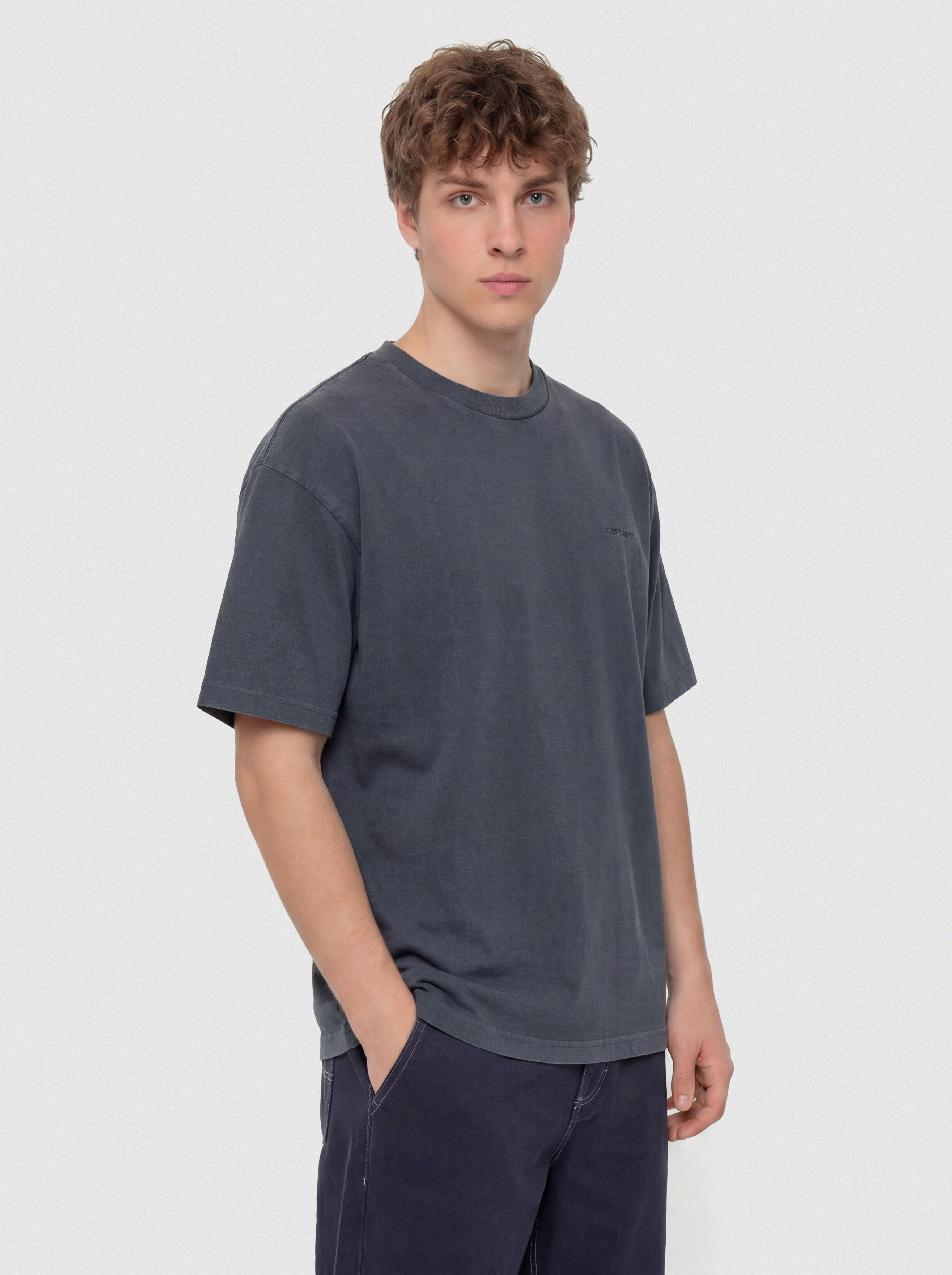 Carhartt WIP Benton T-Shirt (carbon)