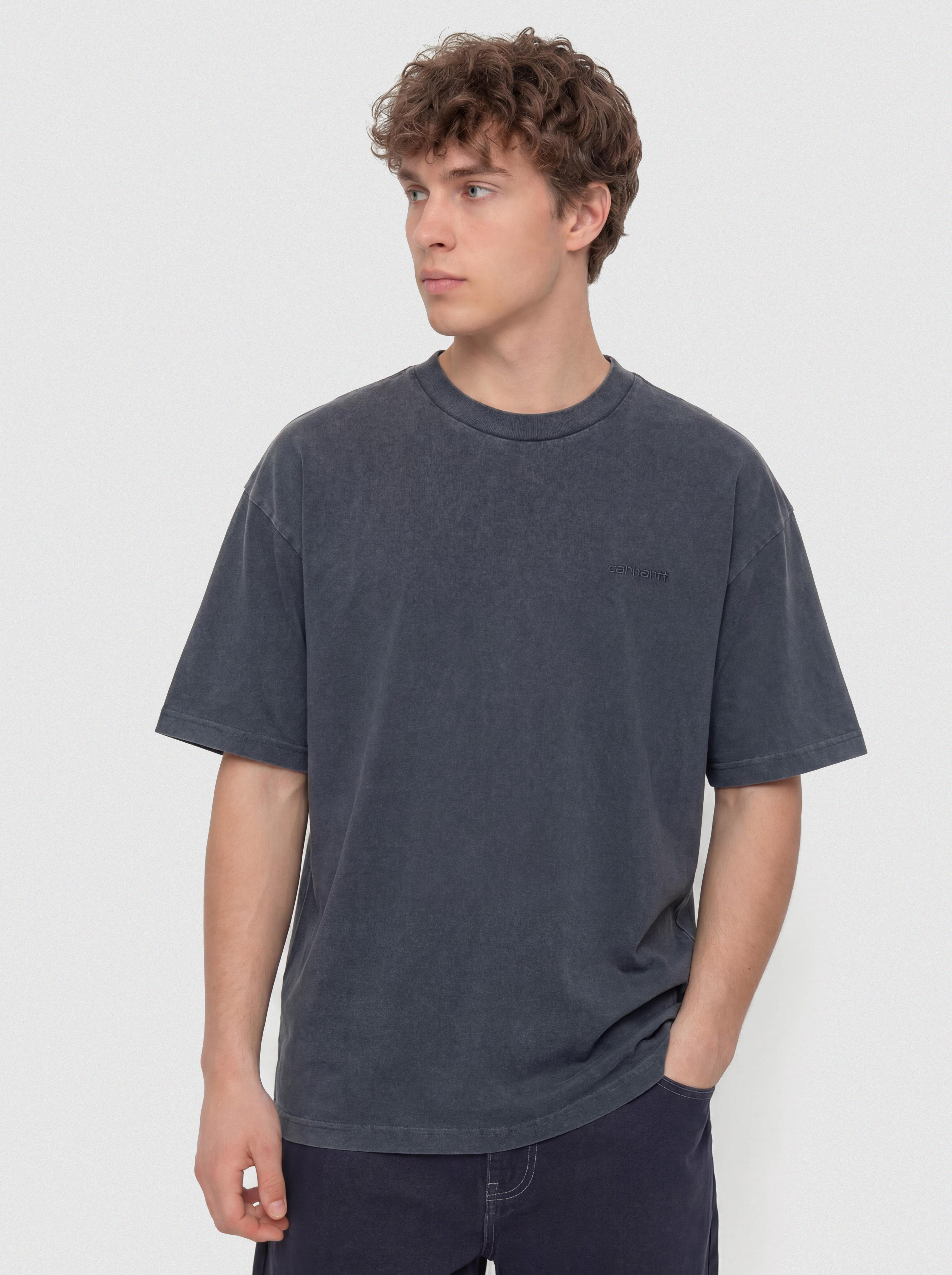 Carhartt WIP Benton T-Shirt (carbon)